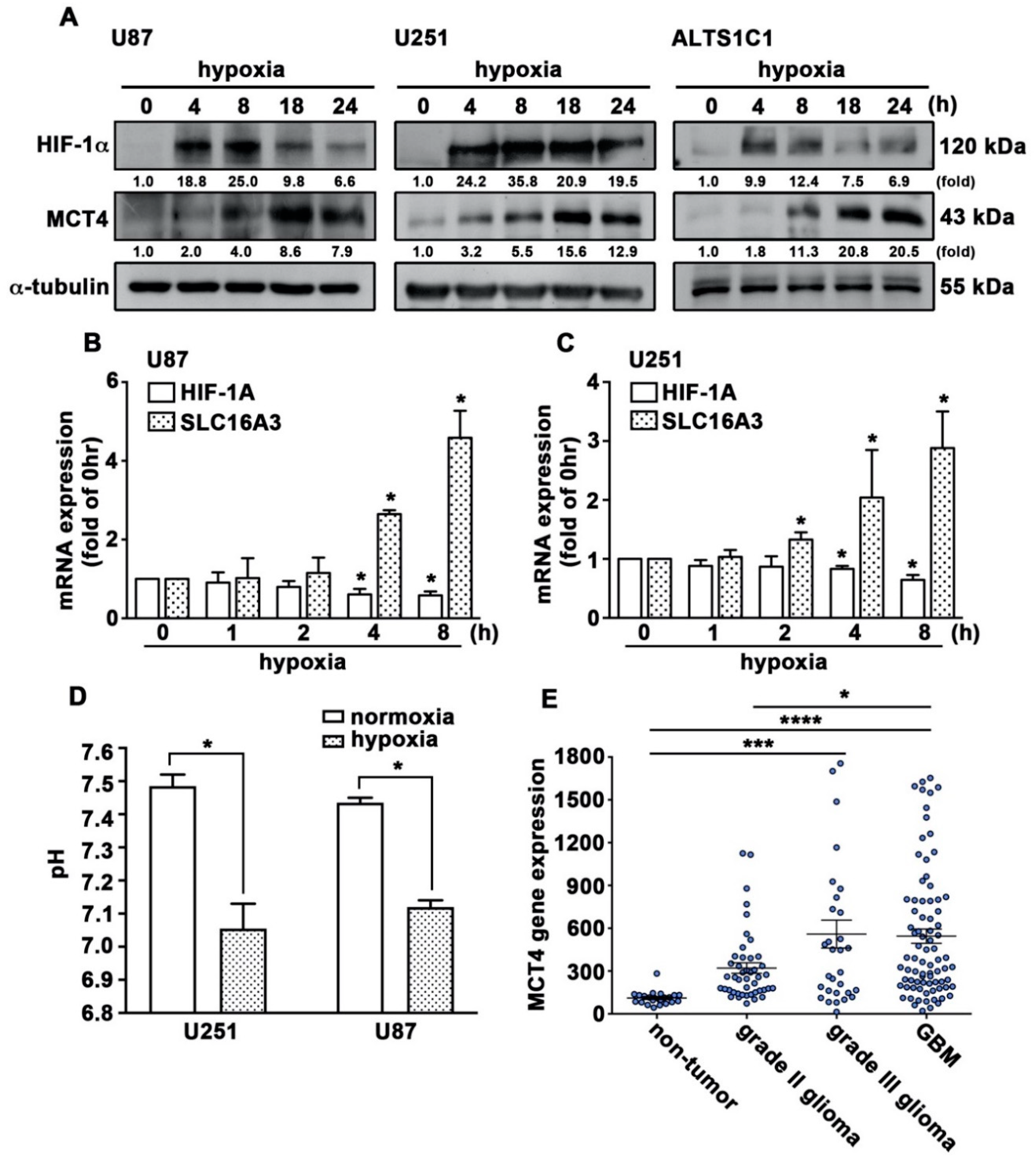 Cancers 12 00380 g001
