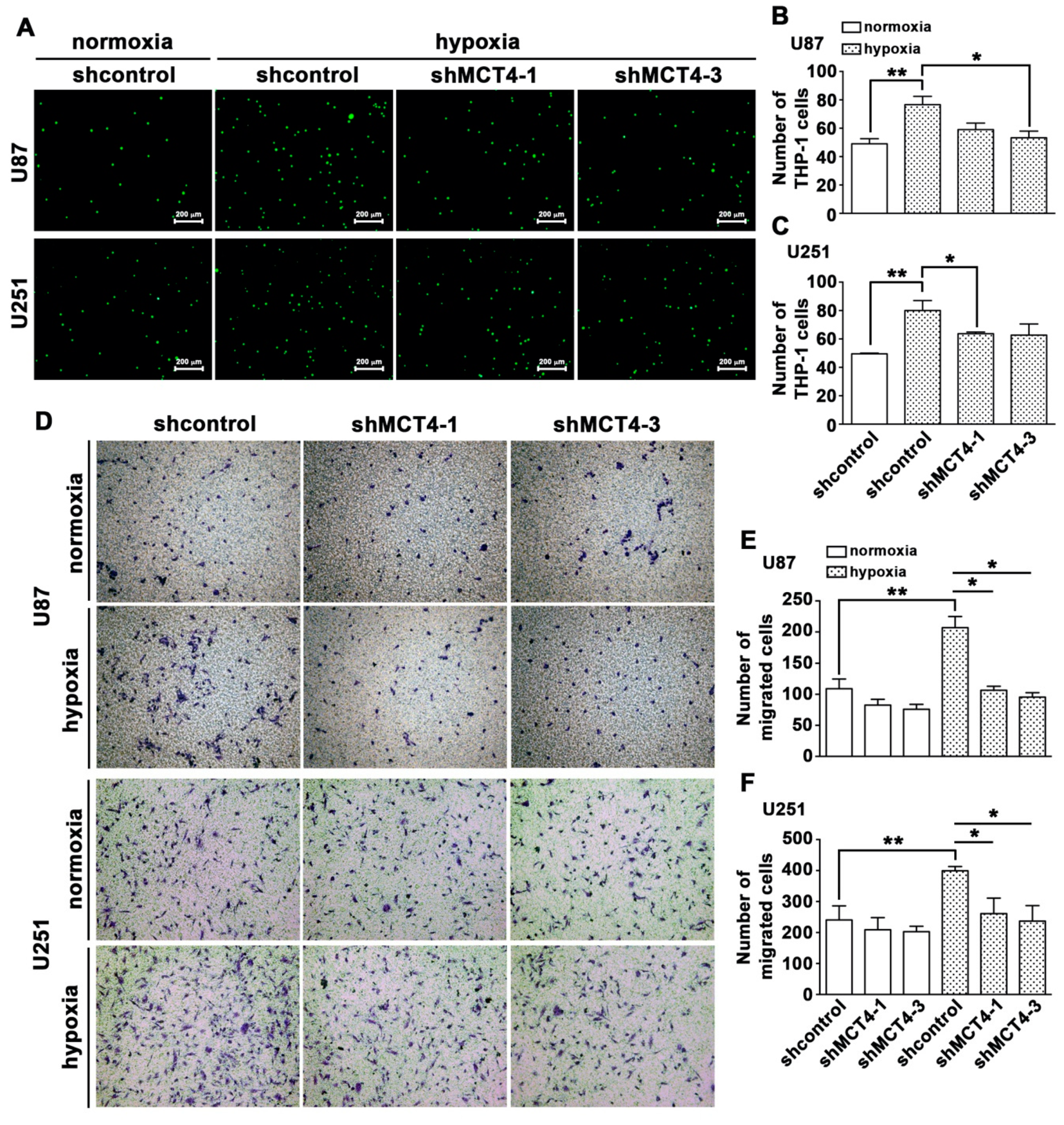 Cancers 12 00380 g003