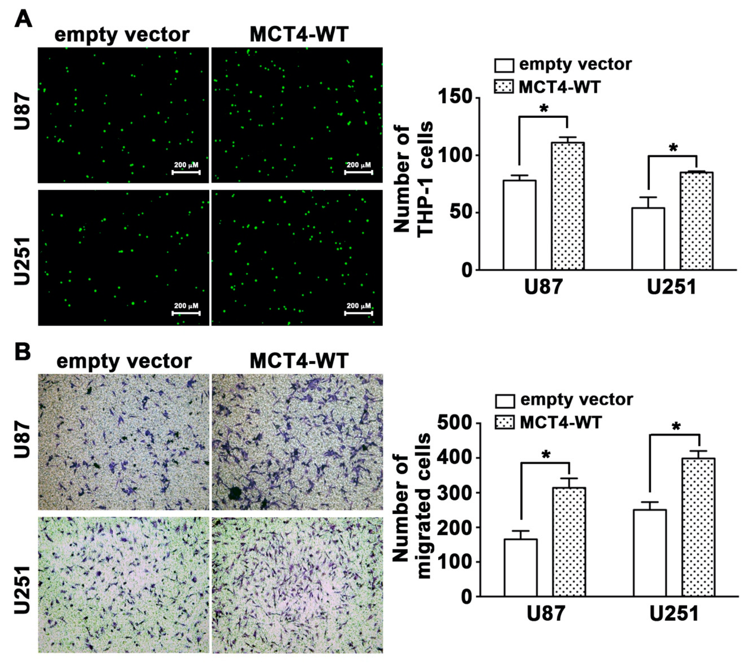 Cancers 12 00380 g004