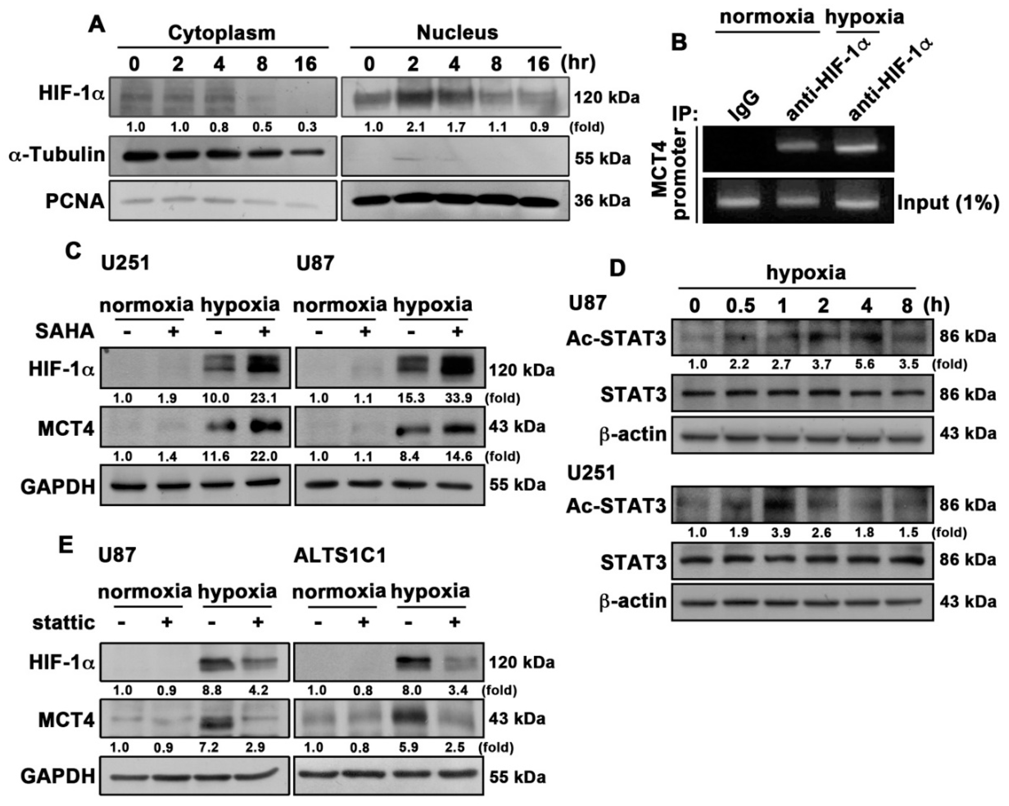Cancers 12 00380 g006