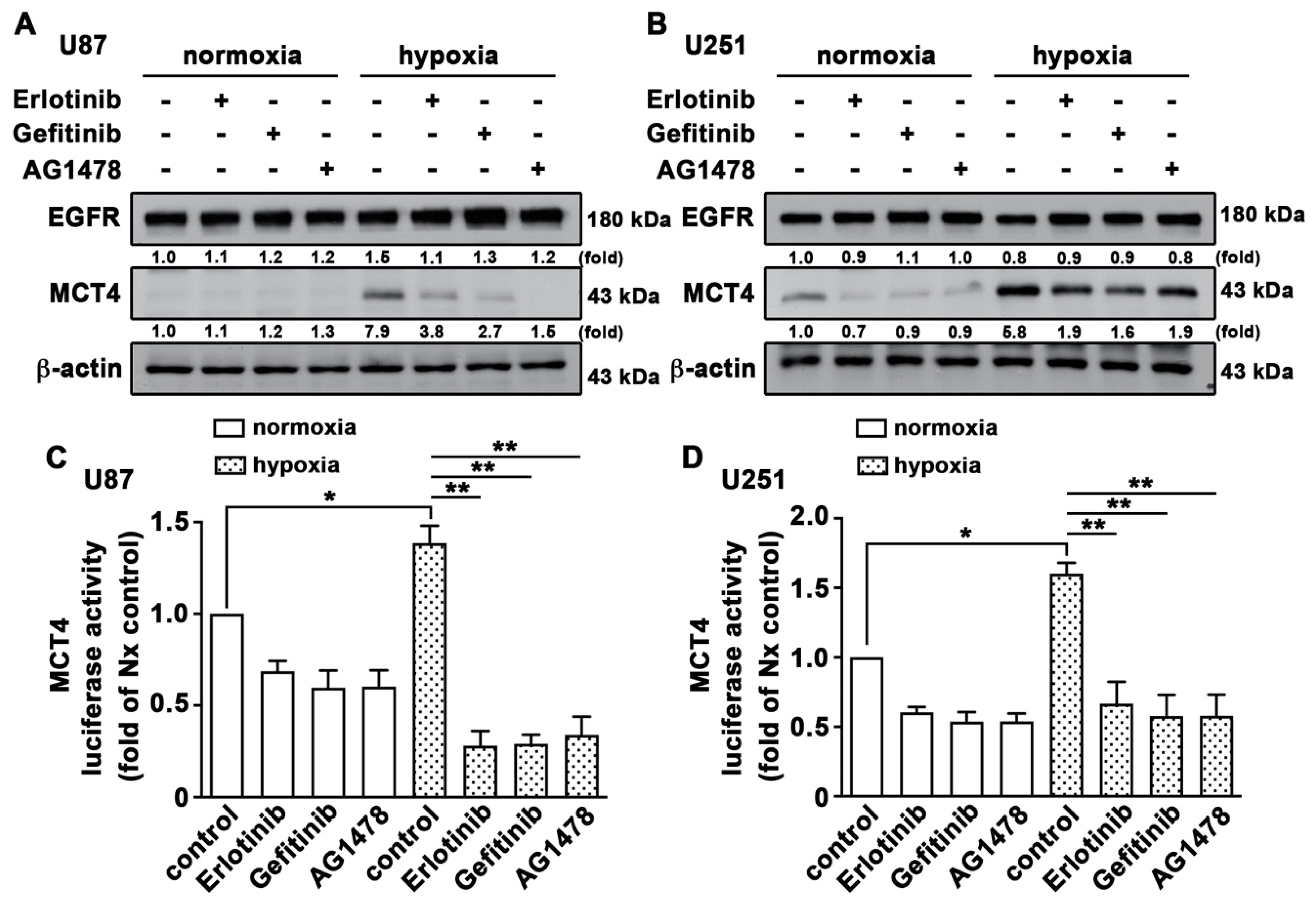 Cancers 12 00380 g008