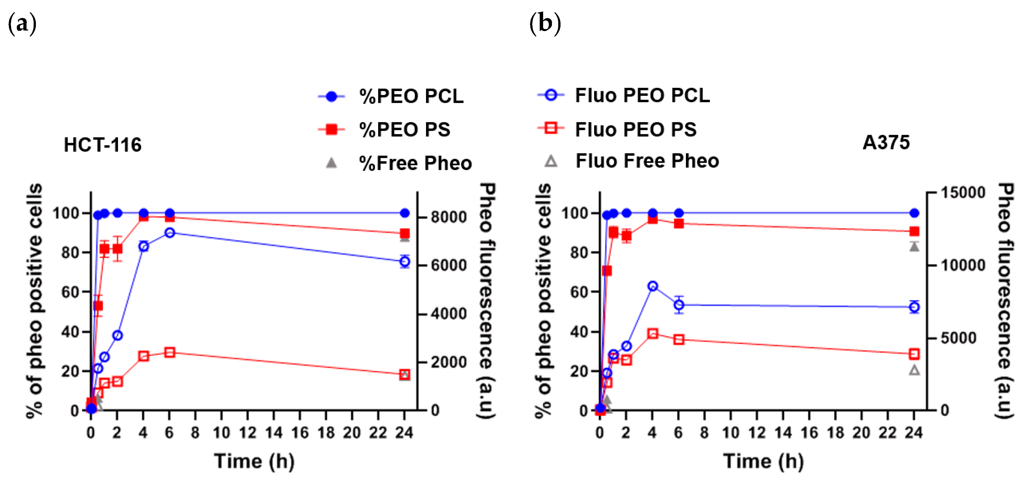 Cancers 12 00384 g002