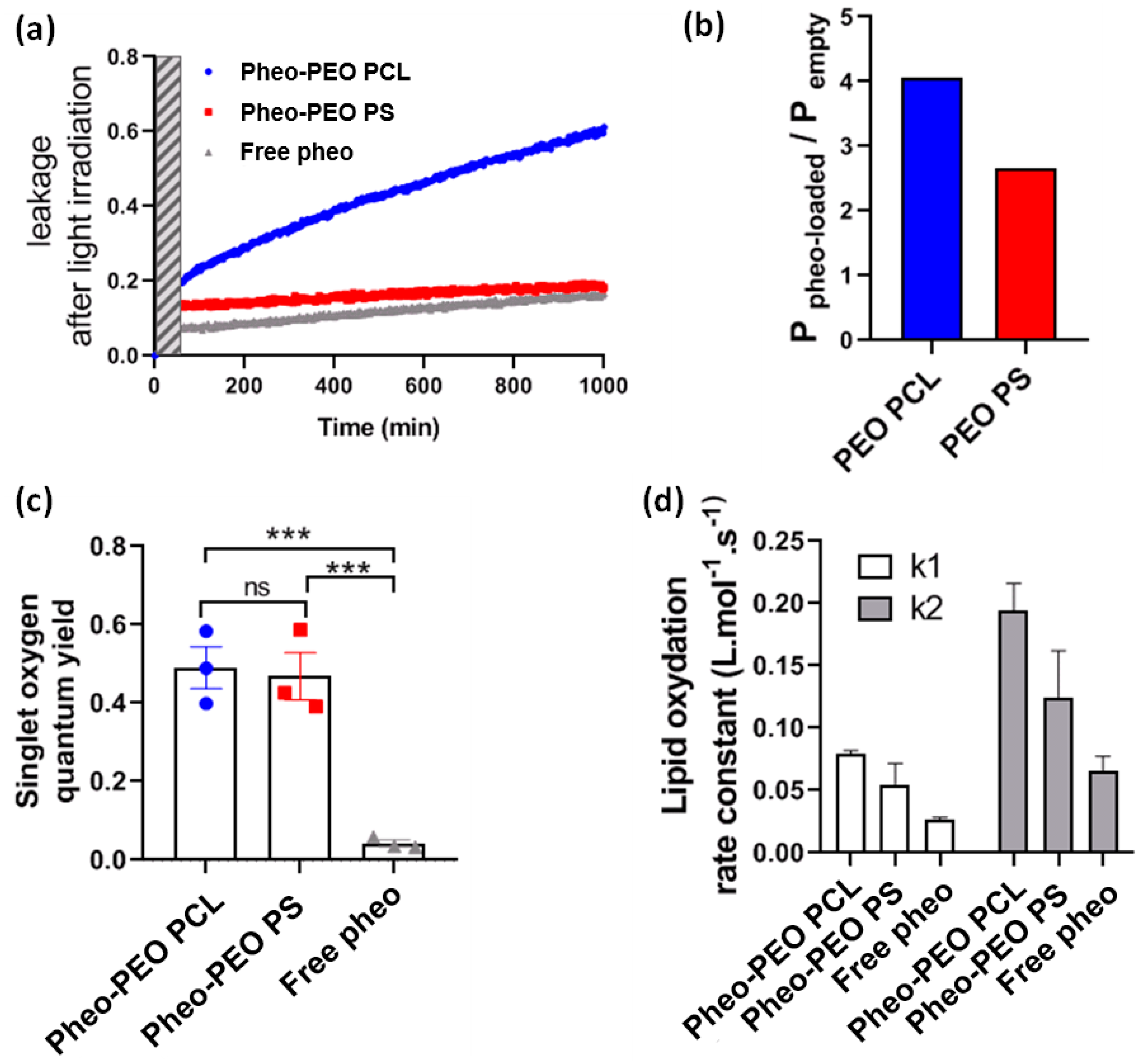 Cancers 12 00384 g005