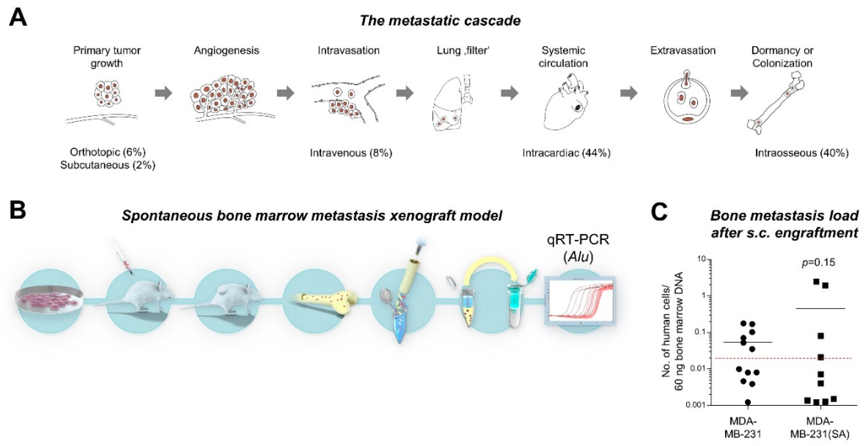 Cancers 12 00385 g001