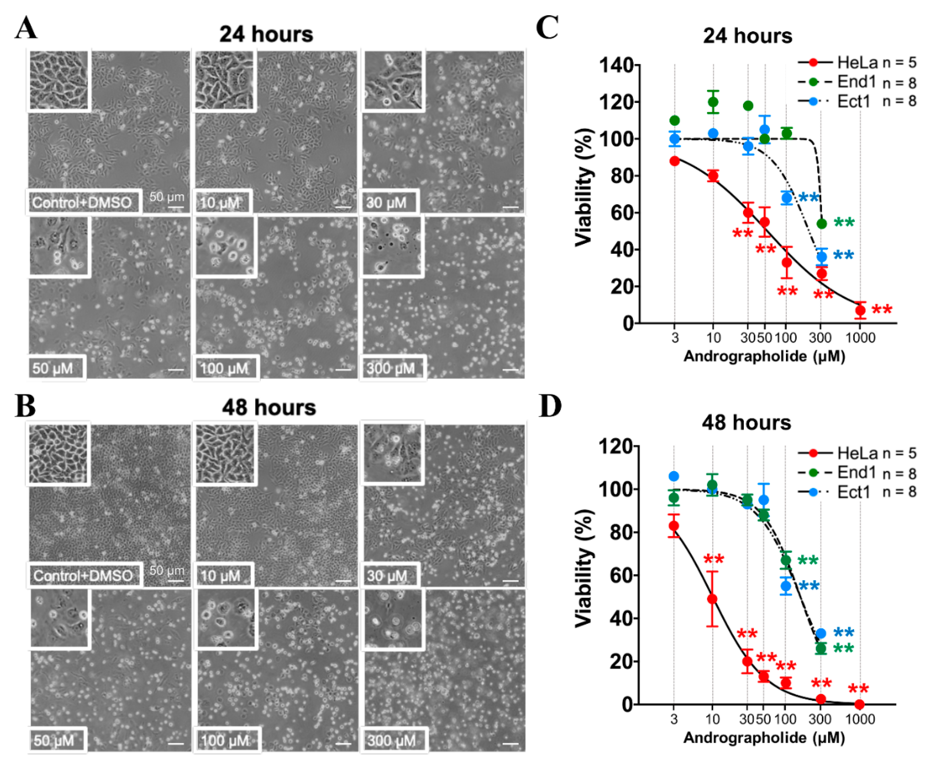 Cancers 12 00387 g005 Cancers 12 00387 g005