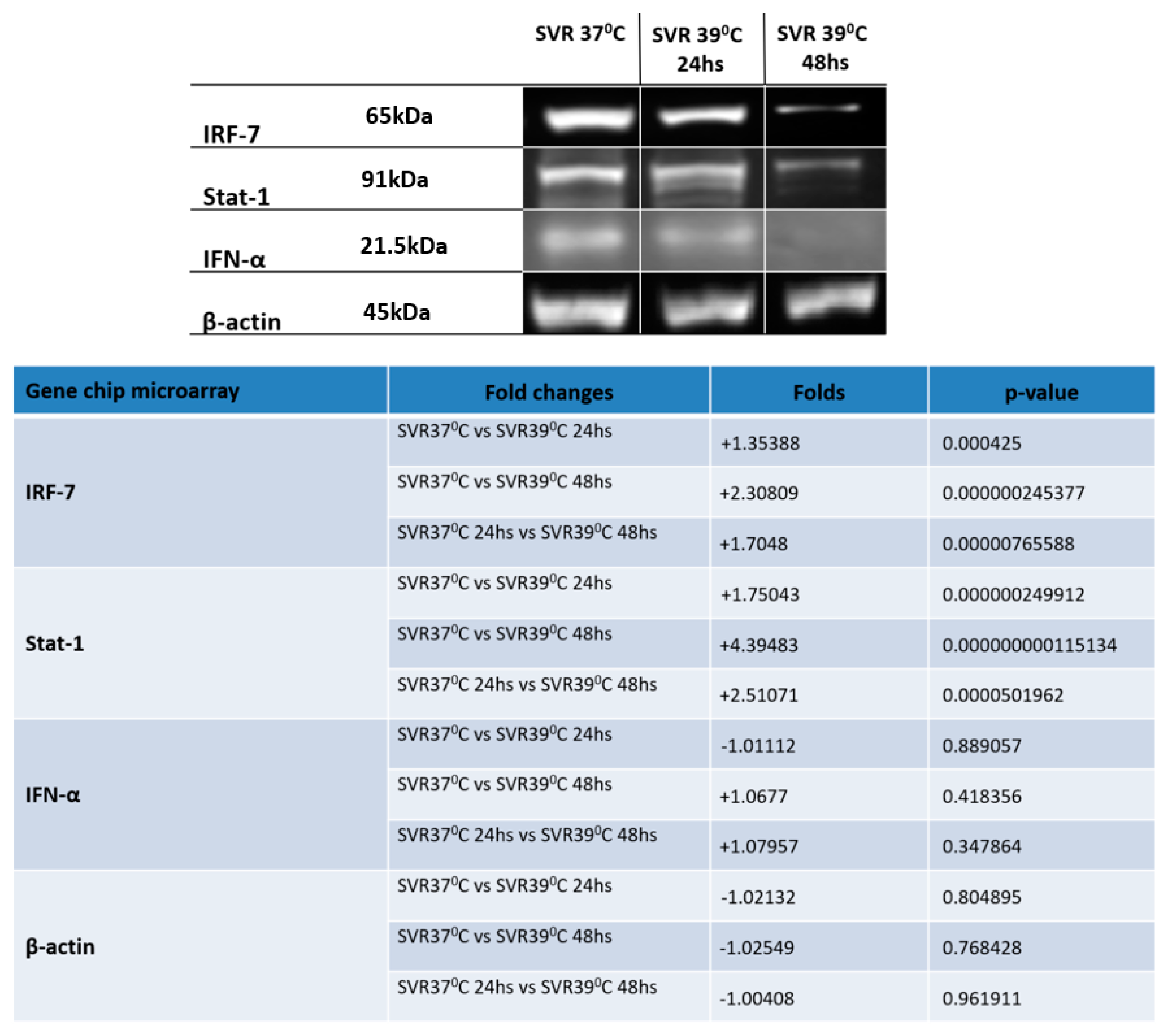 Cancers 12 00395 g003 Cancers 12 00395 g003