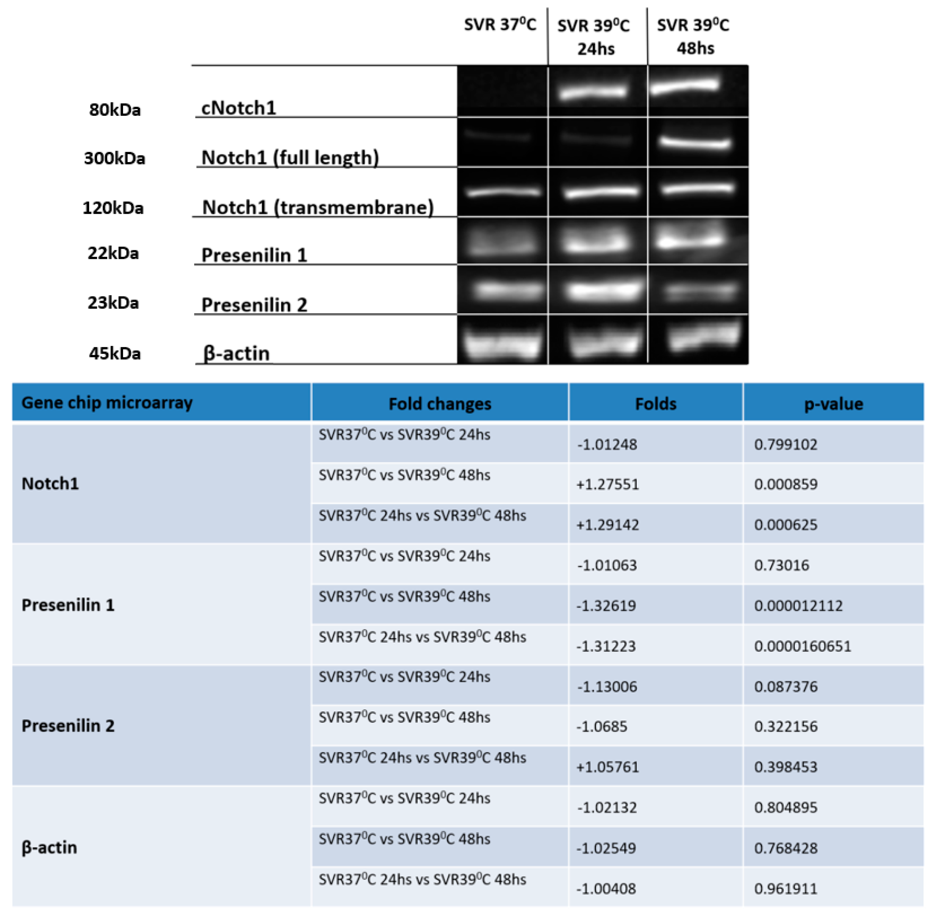 Cancers 12 00395 g004 Cancers 12 00395 g004