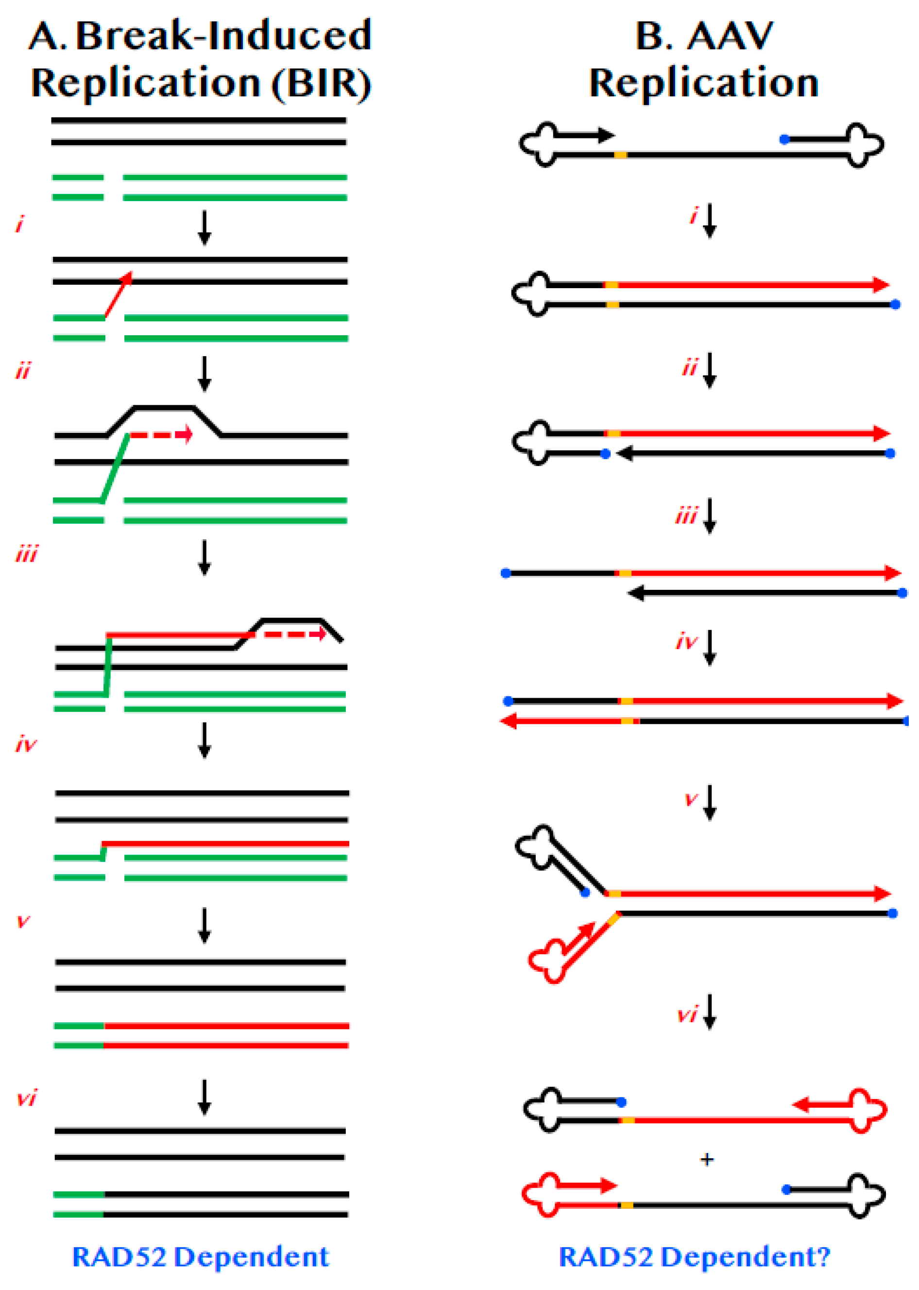 Cancers 12 00399 g002