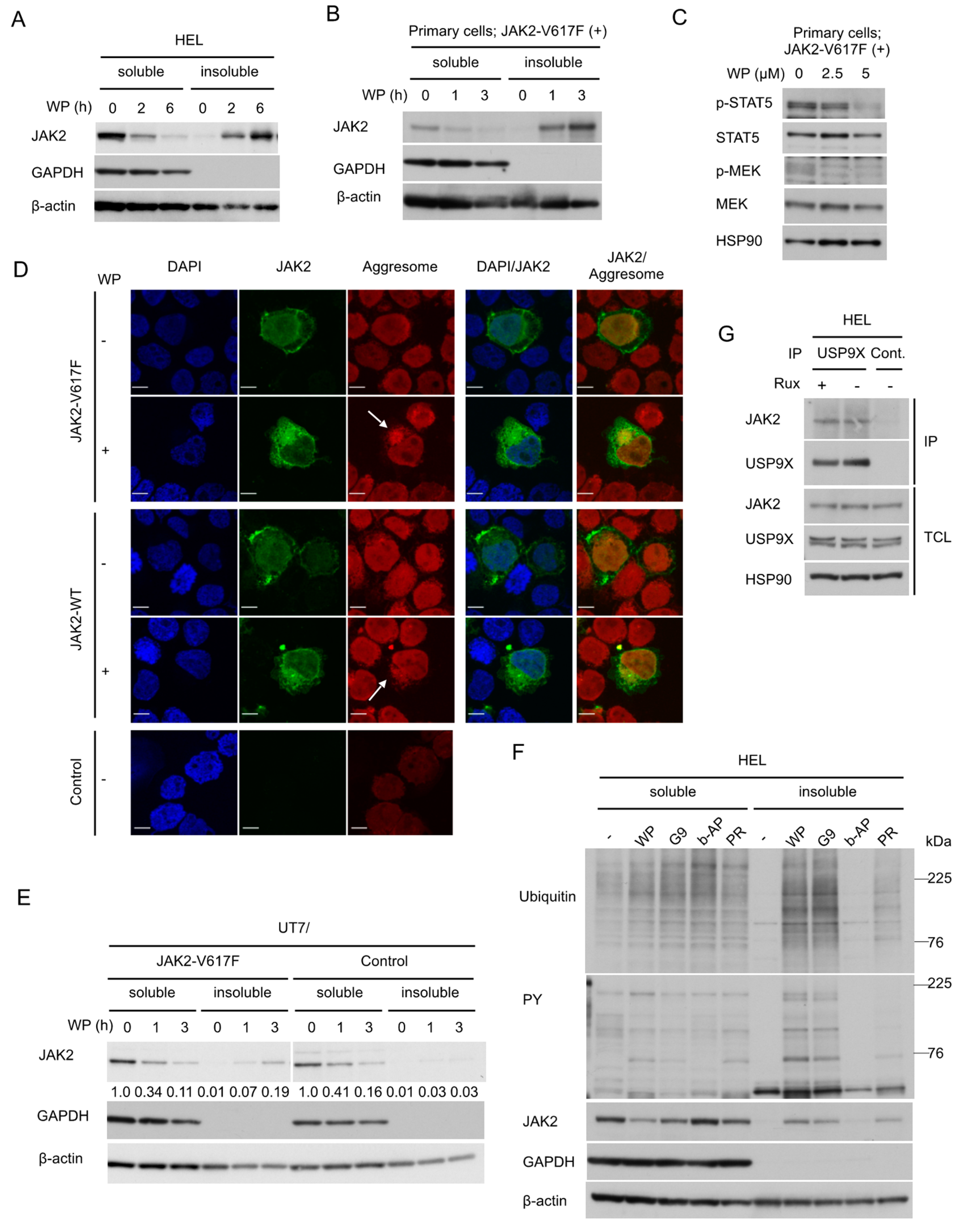 Cancers 12 00406 g003