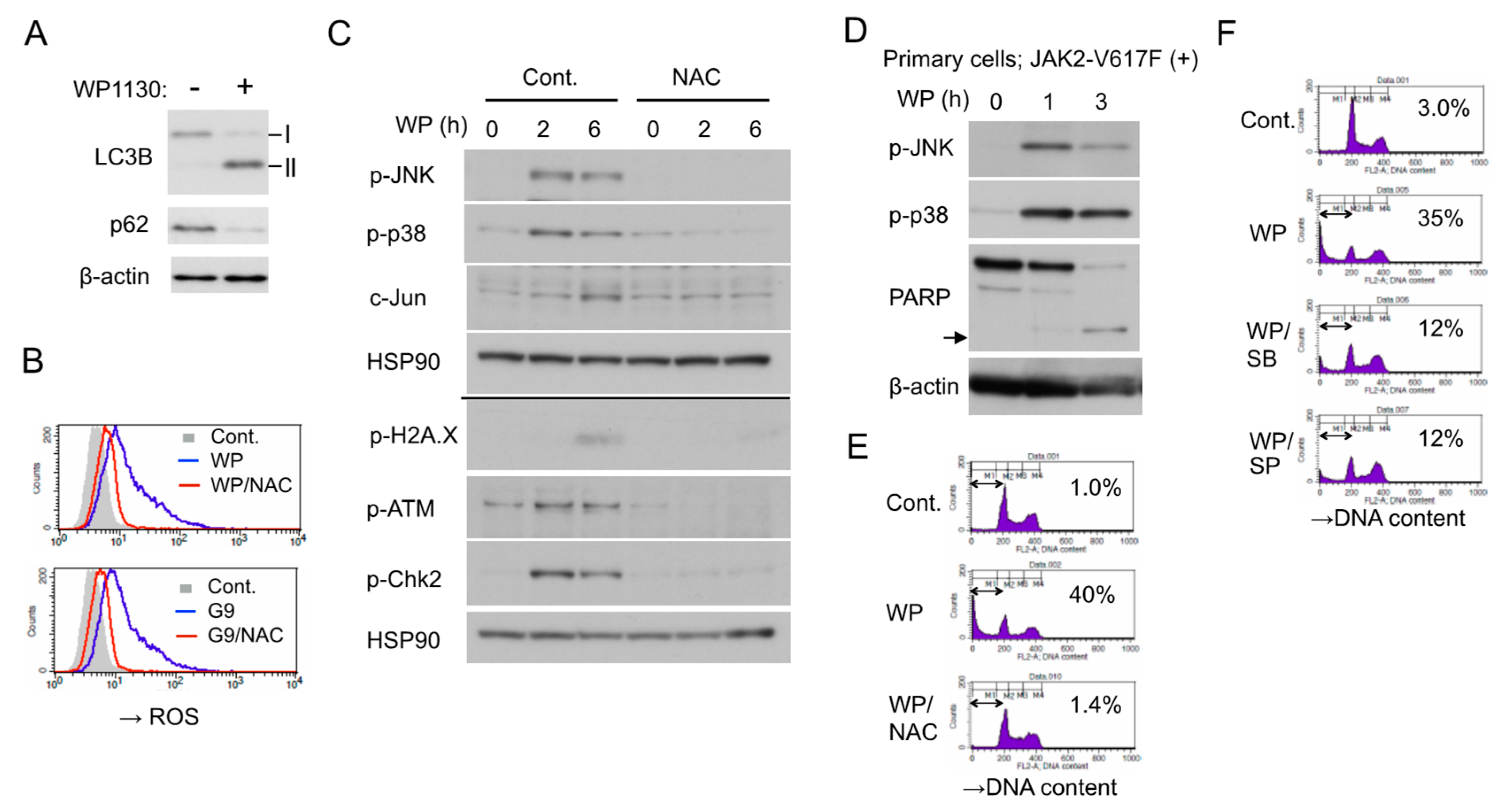 Cancers 12 00406 g005