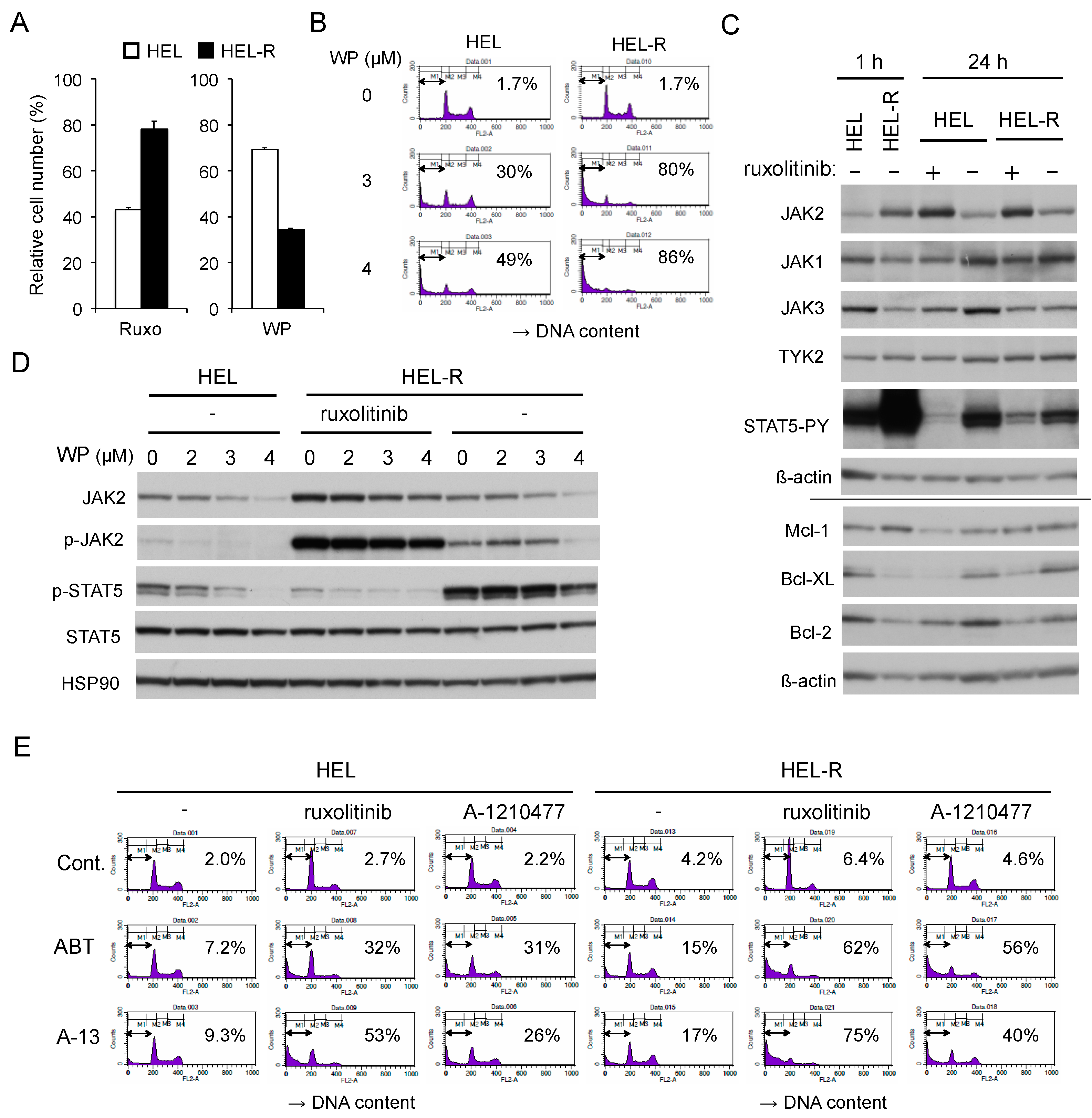 Cancers 12 00406 g006