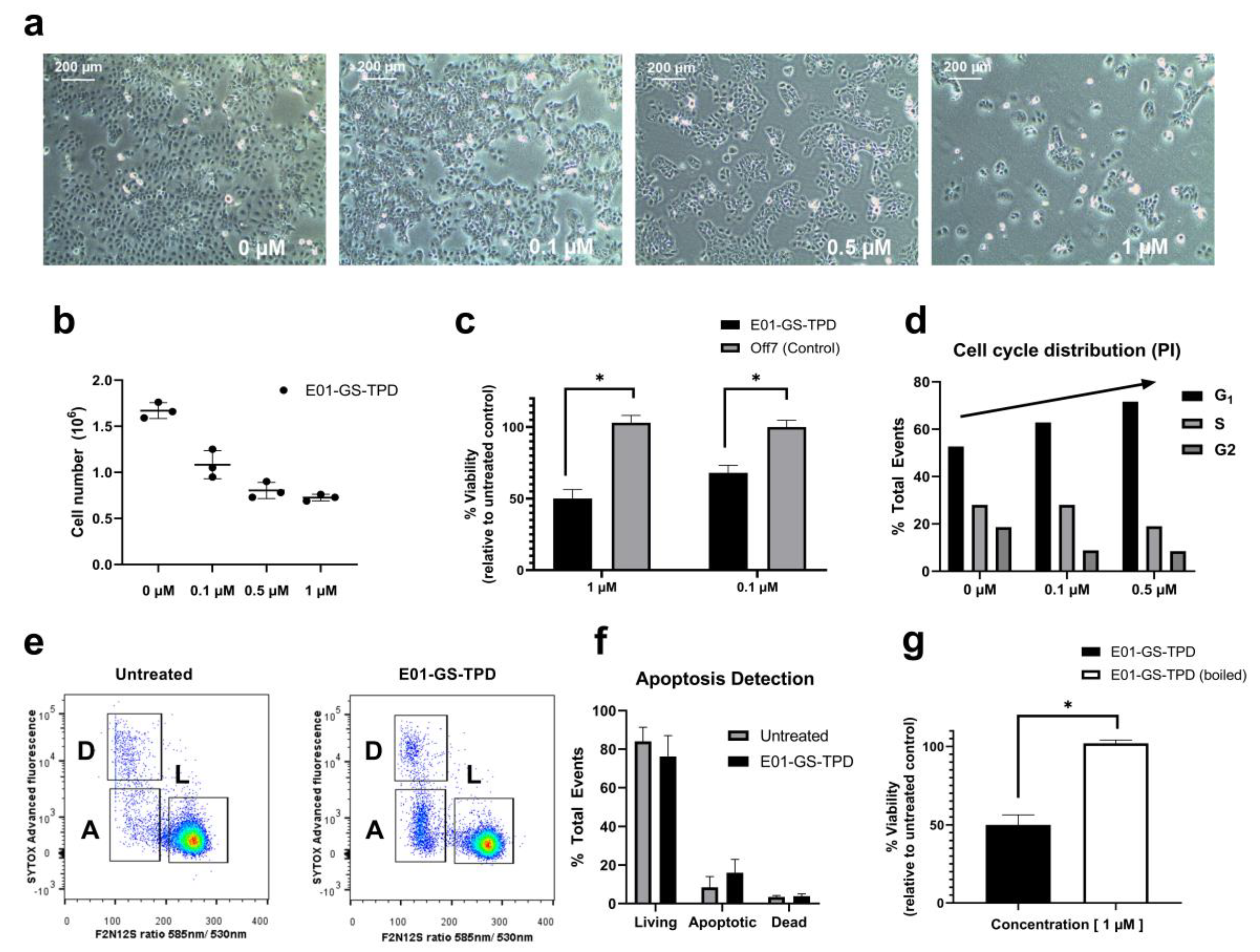 Cancers 12 00411 g004 Cancers 12 00411 g004