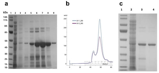 Cancers 12 00411 g0a1