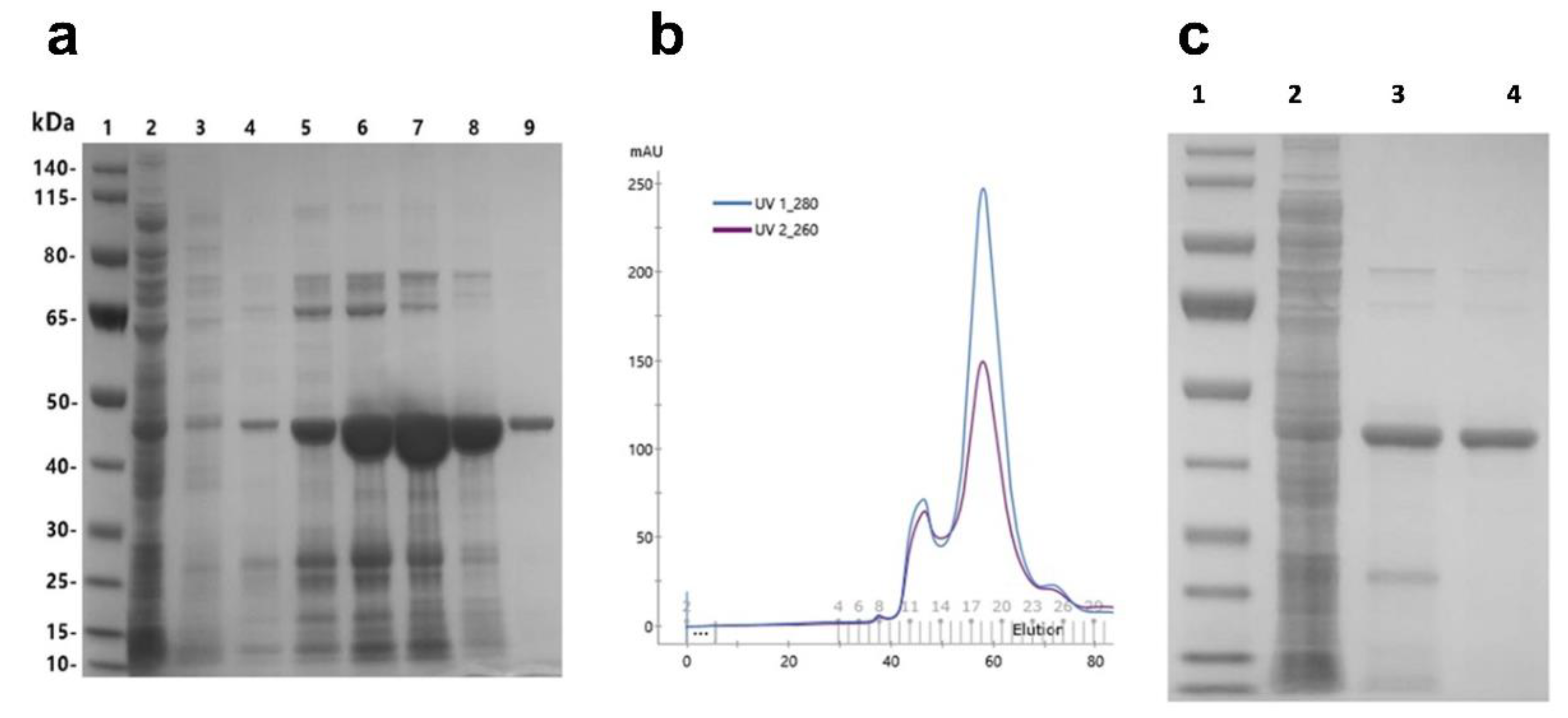 Cancers 12 00411 g0a1 Cancers 12 00411 g0a1