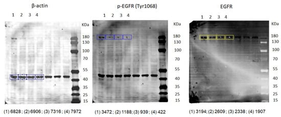 Cancers 12 00411 g0a3