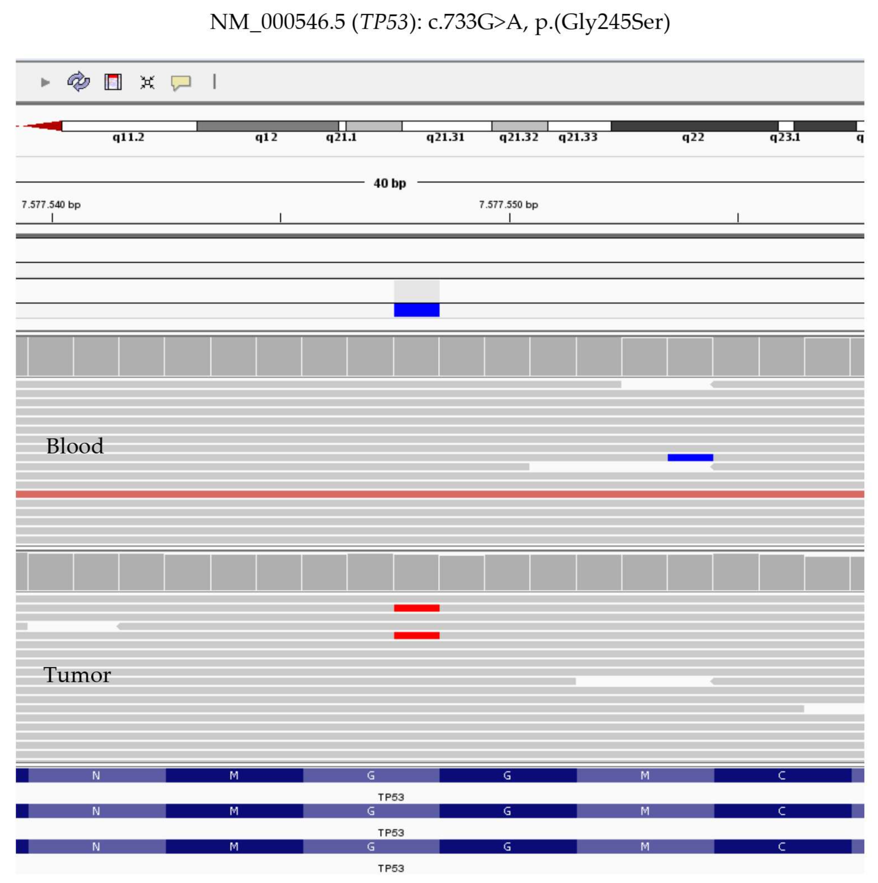 Cancers 12 00414 g004