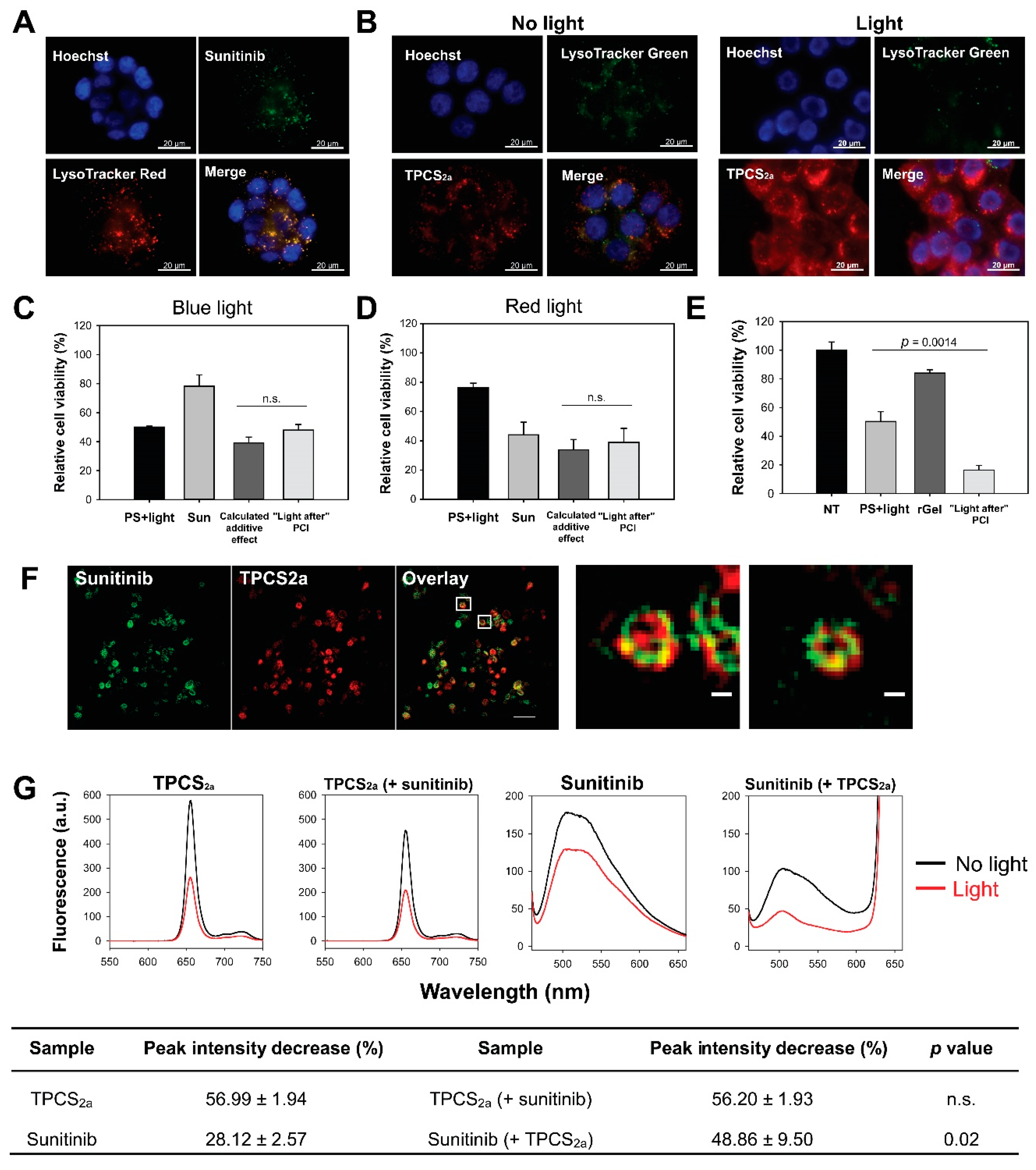 Cancers 12 00417 g001