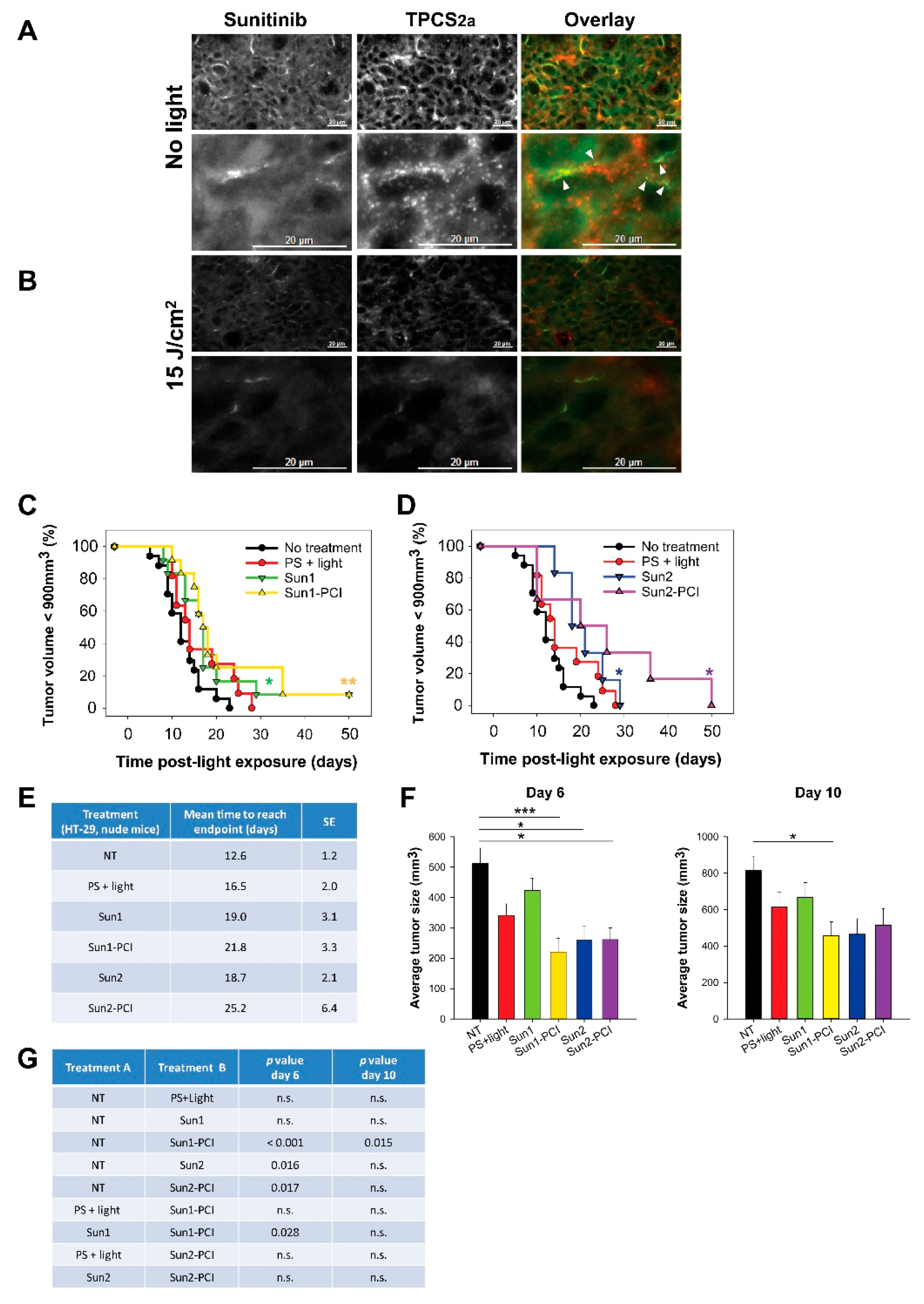 Cancers 12 00417 g004