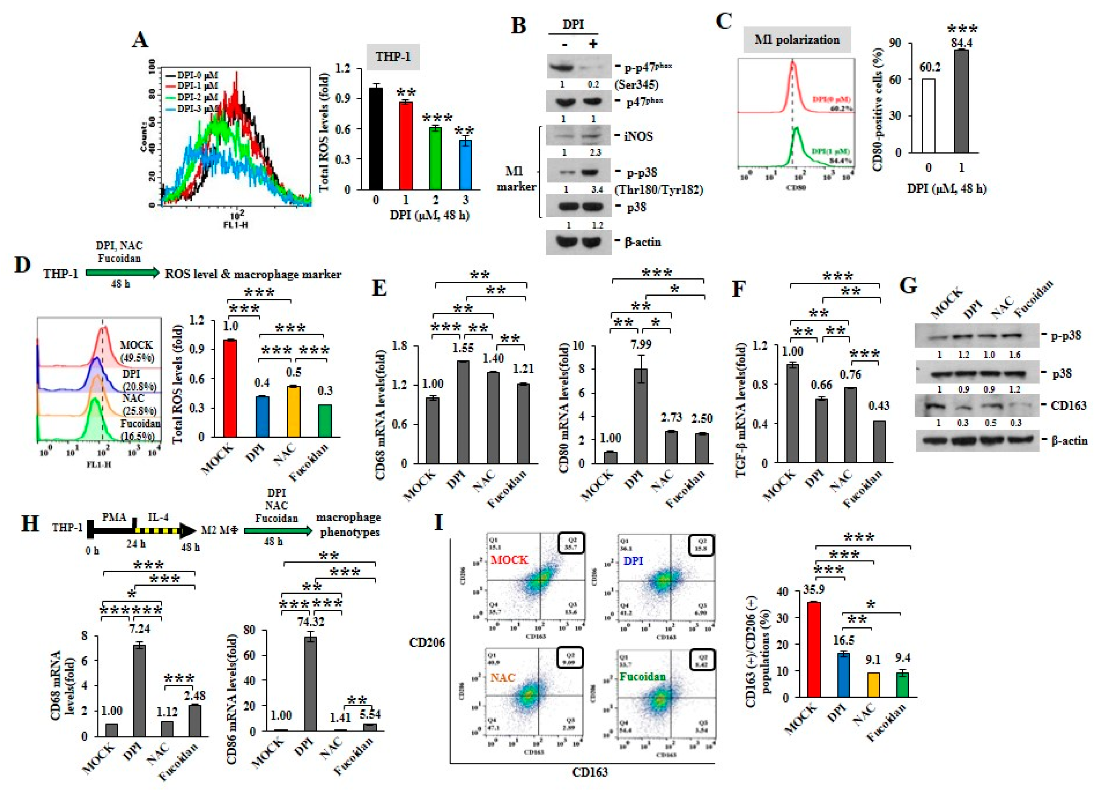 Cancers 12 00421 g001