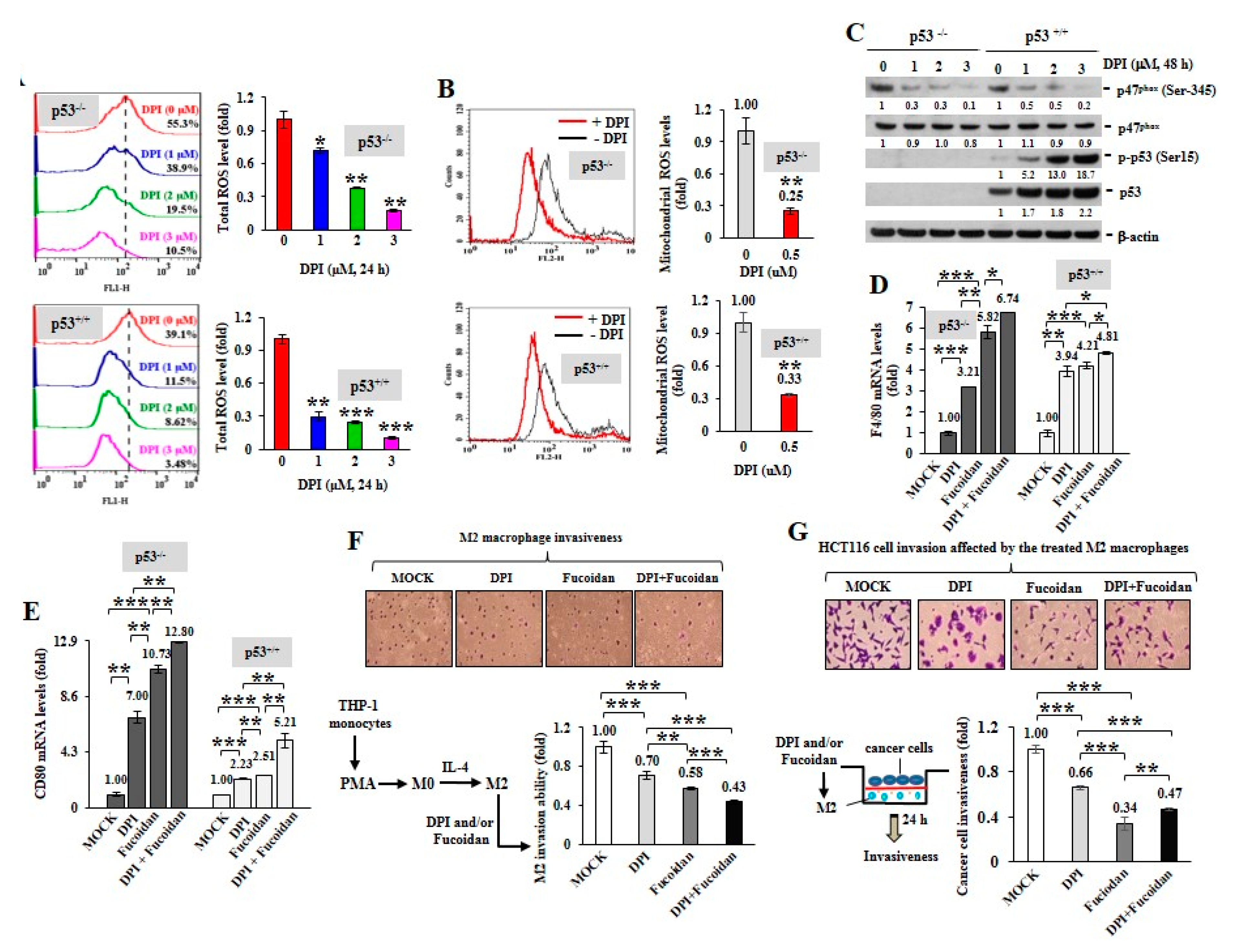Cancers 12 00421 g002