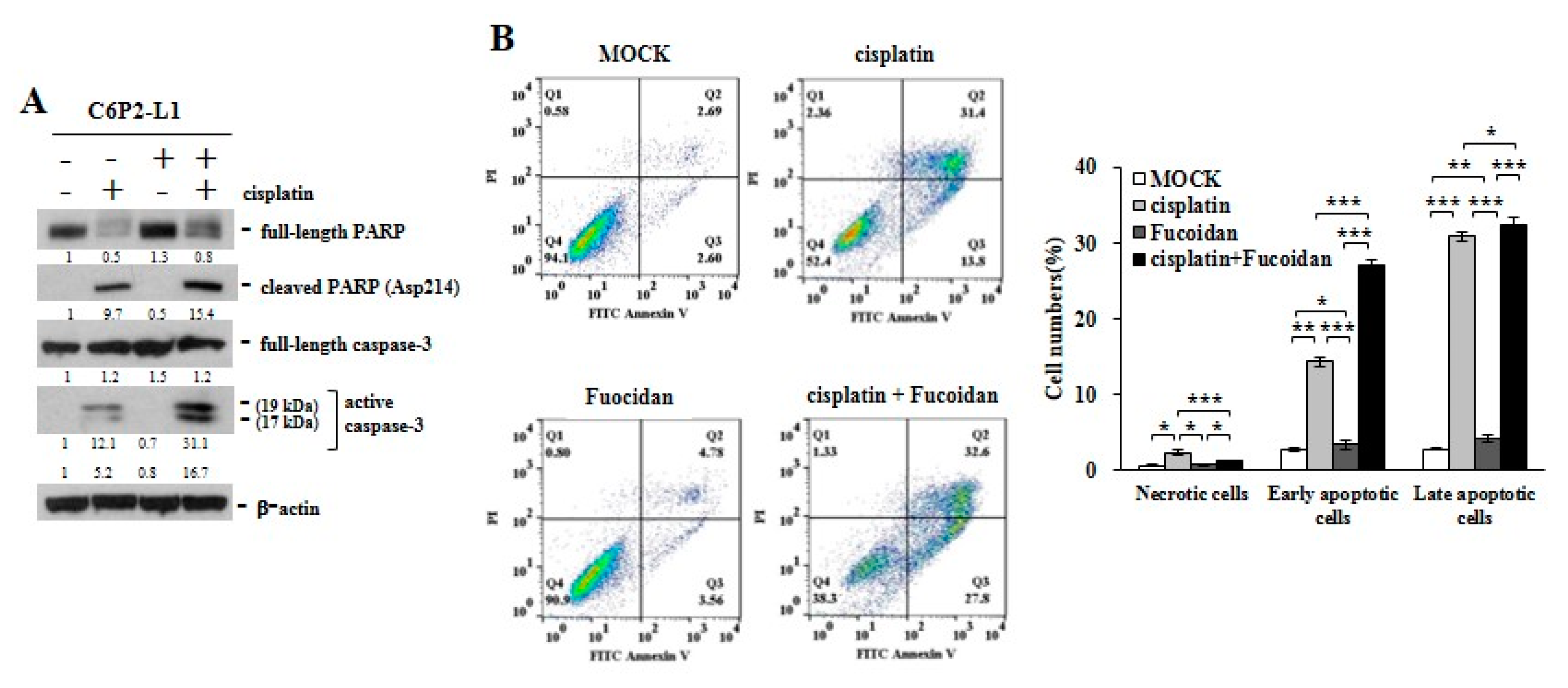 Cancers 12 00421 g005