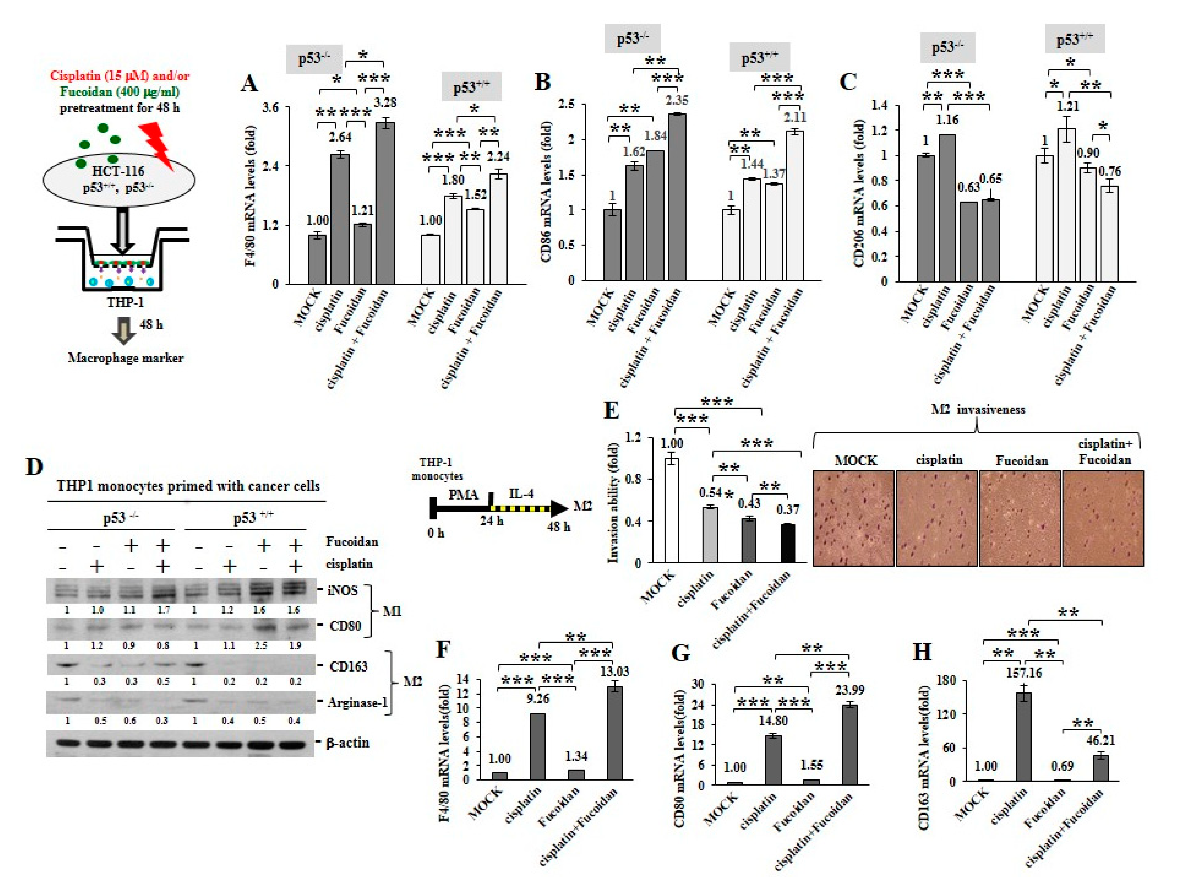 Cancers 12 00421 g006