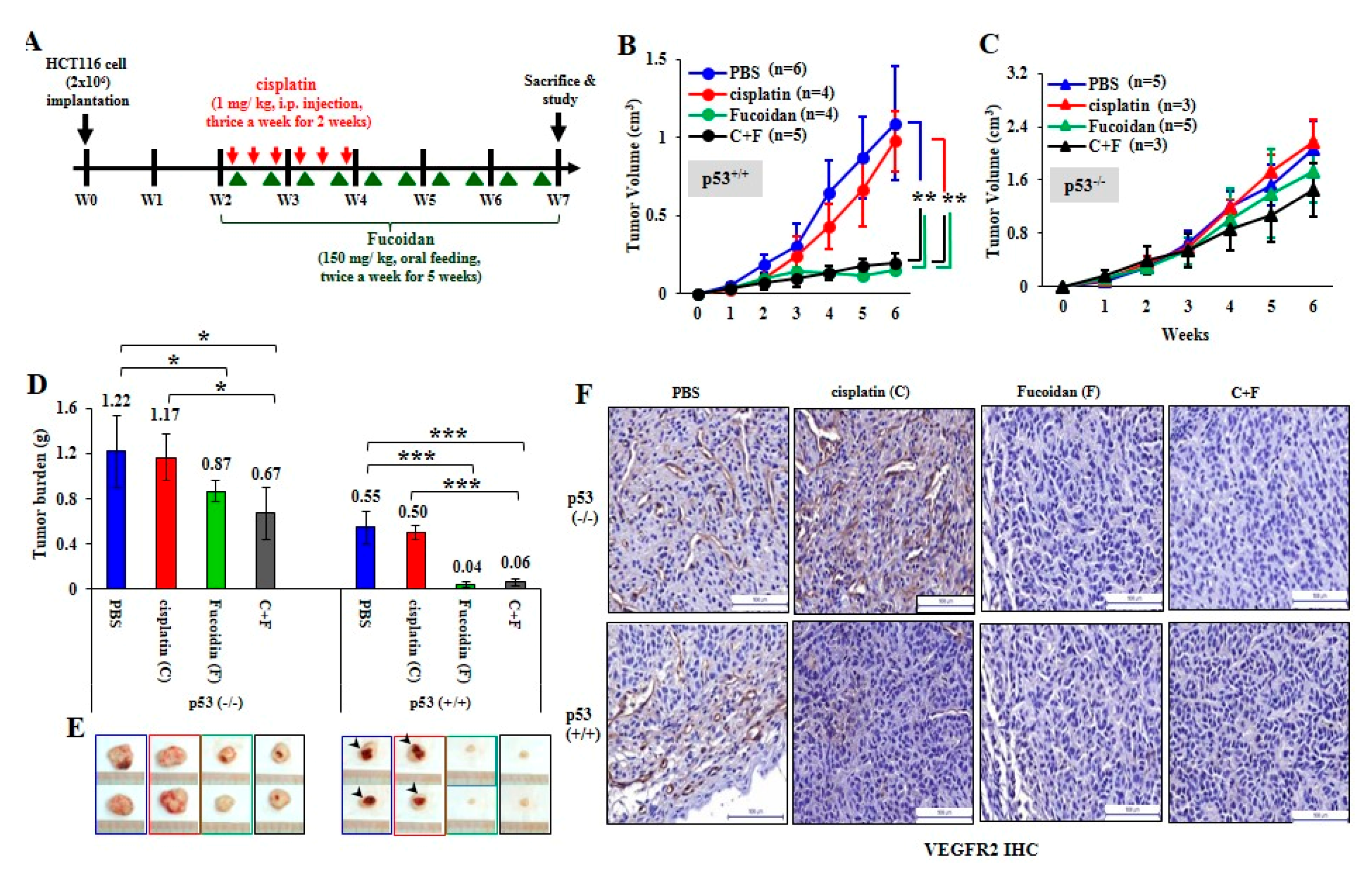 Cancers 12 00421 g007
