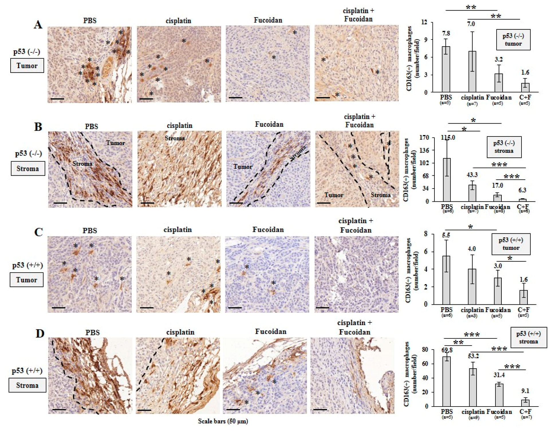 Cancers 12 00421 g008