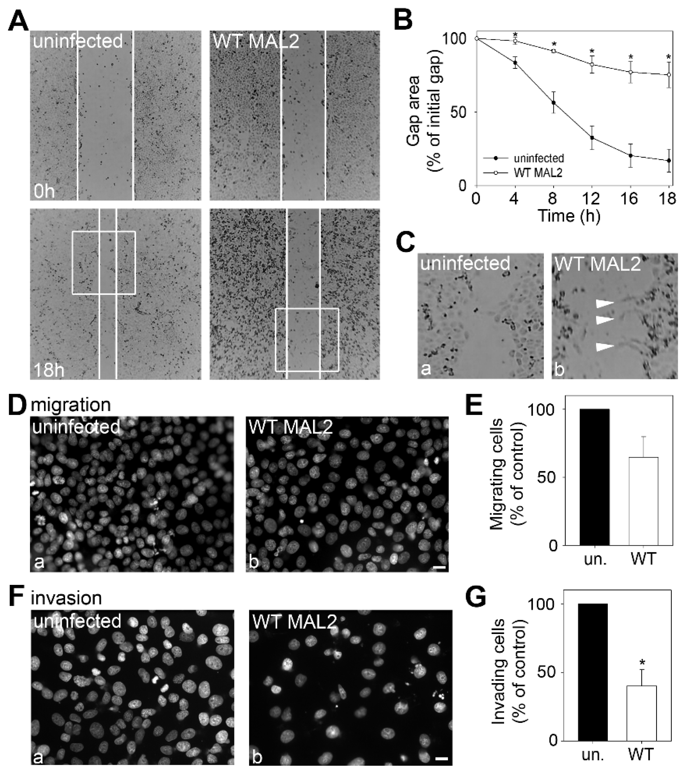 Cancers 12 00422 g006