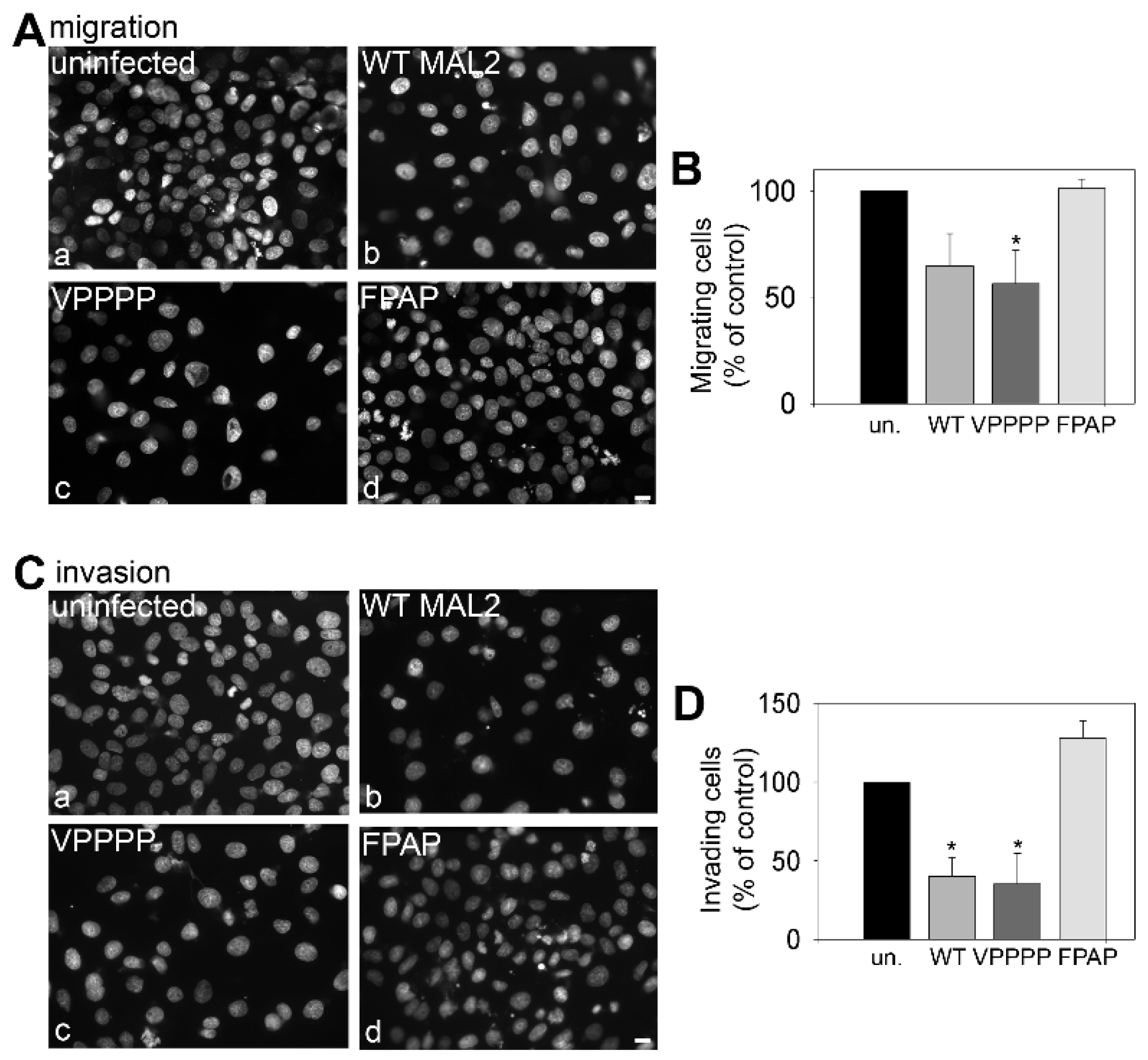 Cancers 12 00422 g010