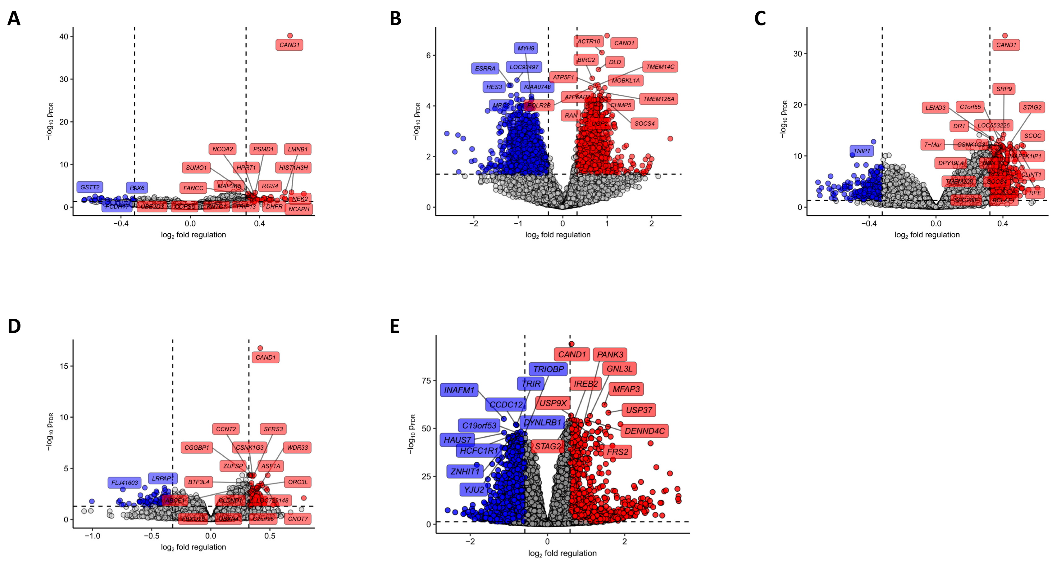 Cancers 12 00428 g003