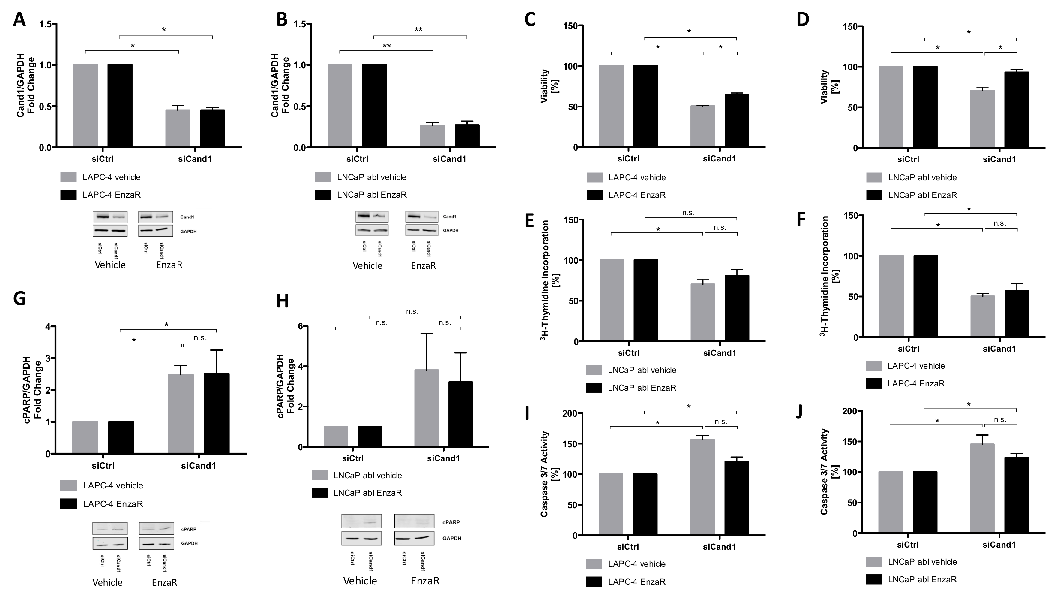 Cancers 12 00428 g005