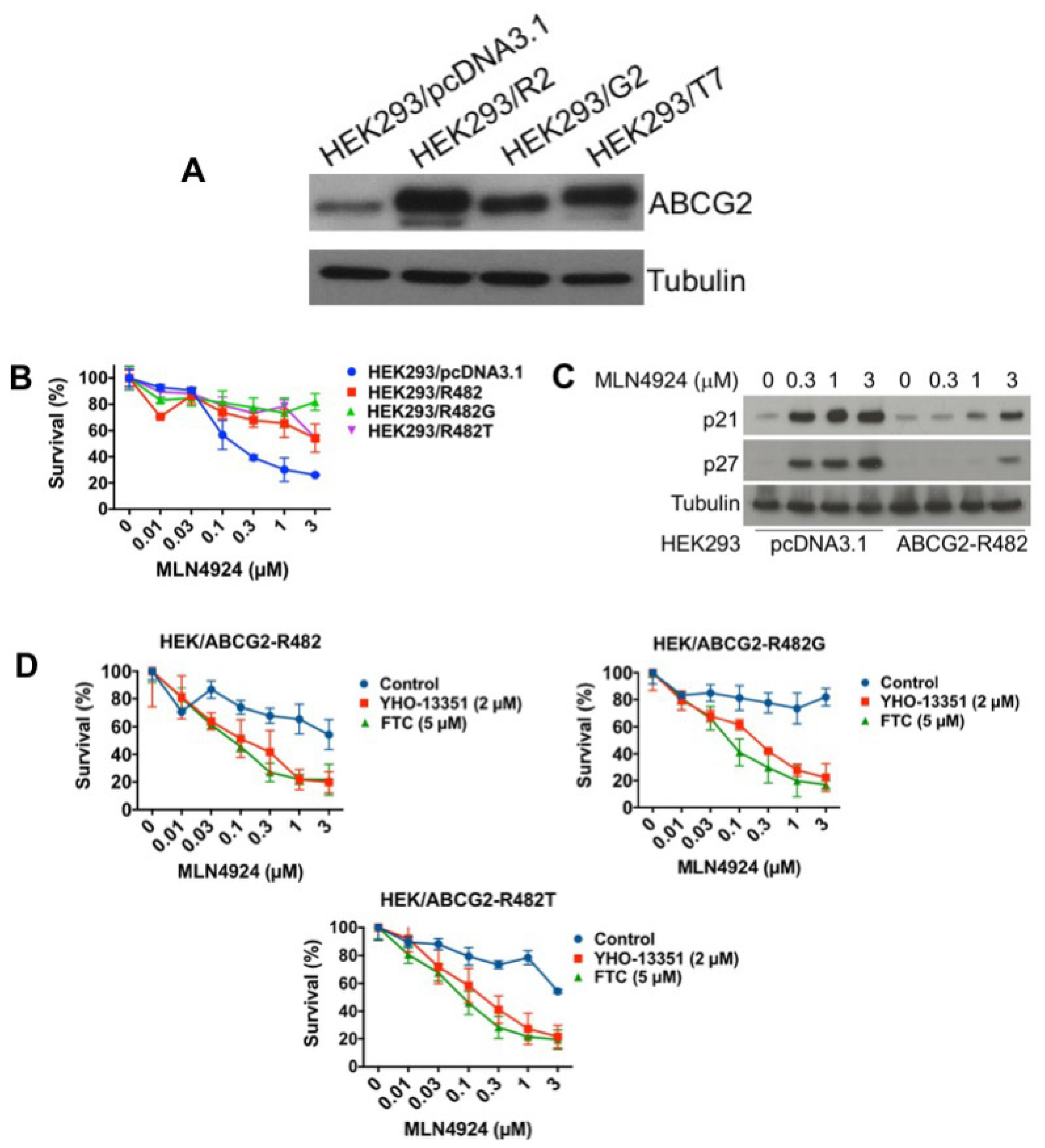 Cancers 12 00429 g005