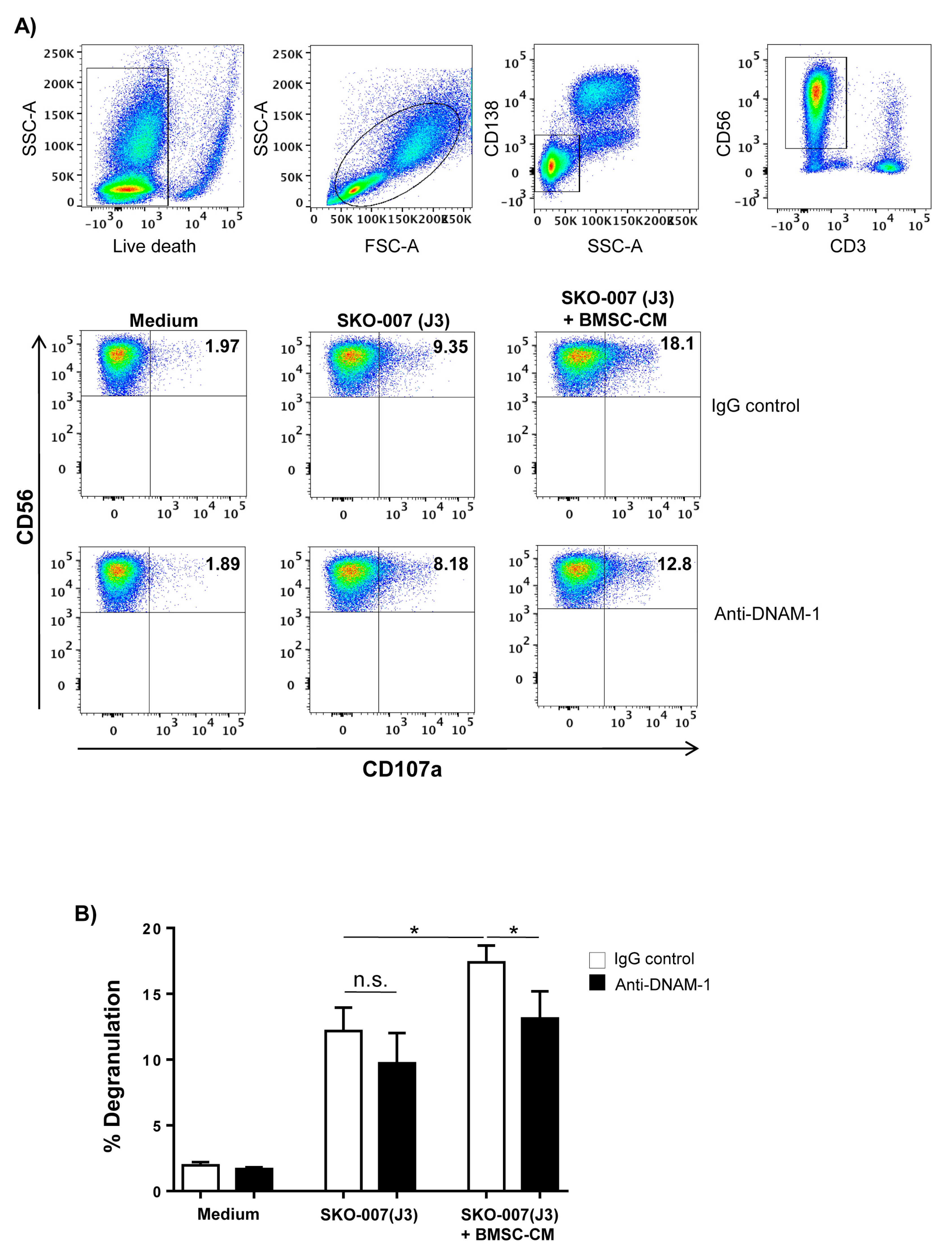 Cancers 12 00440 g002