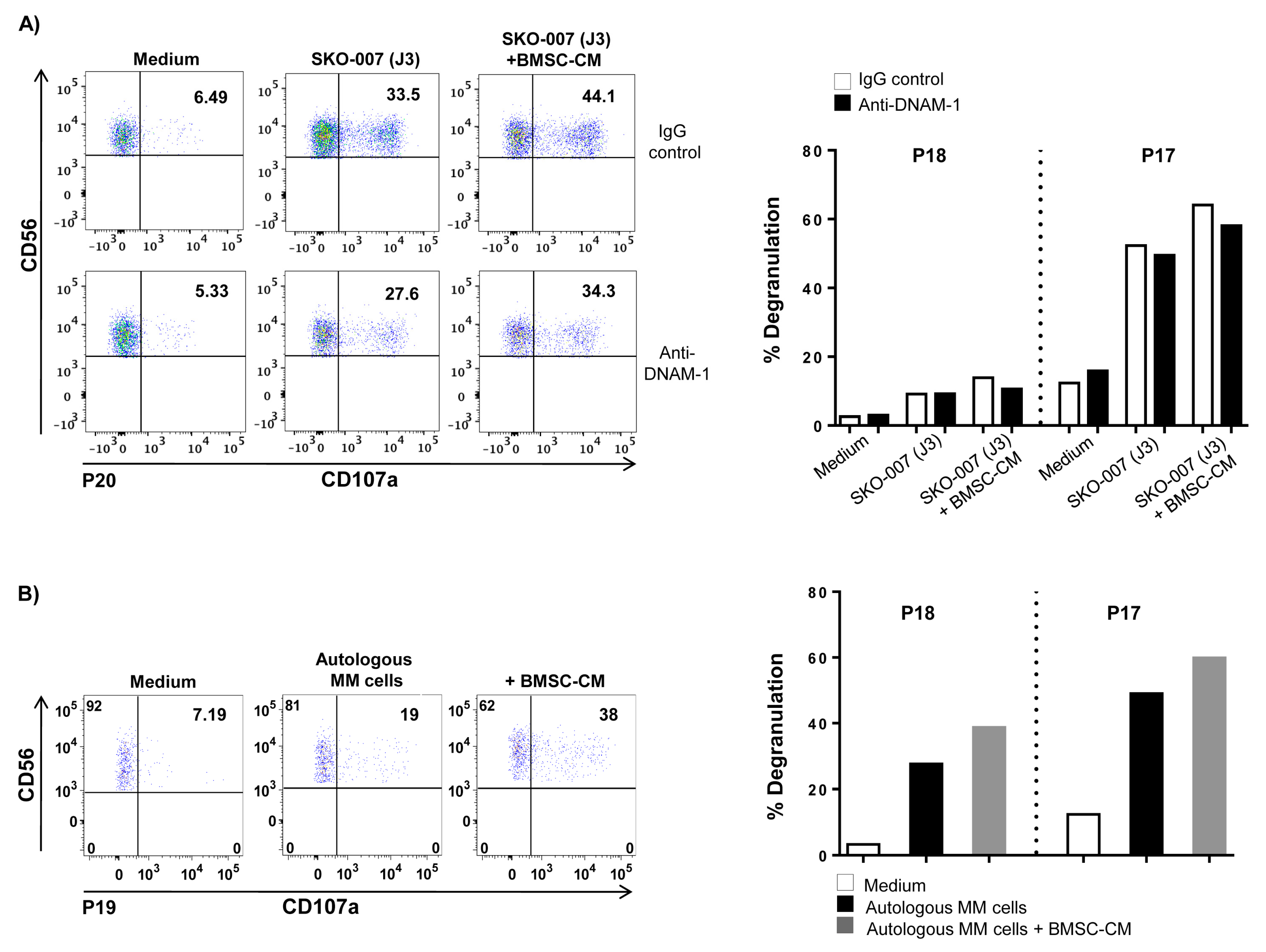 Cancers 12 00440 g003