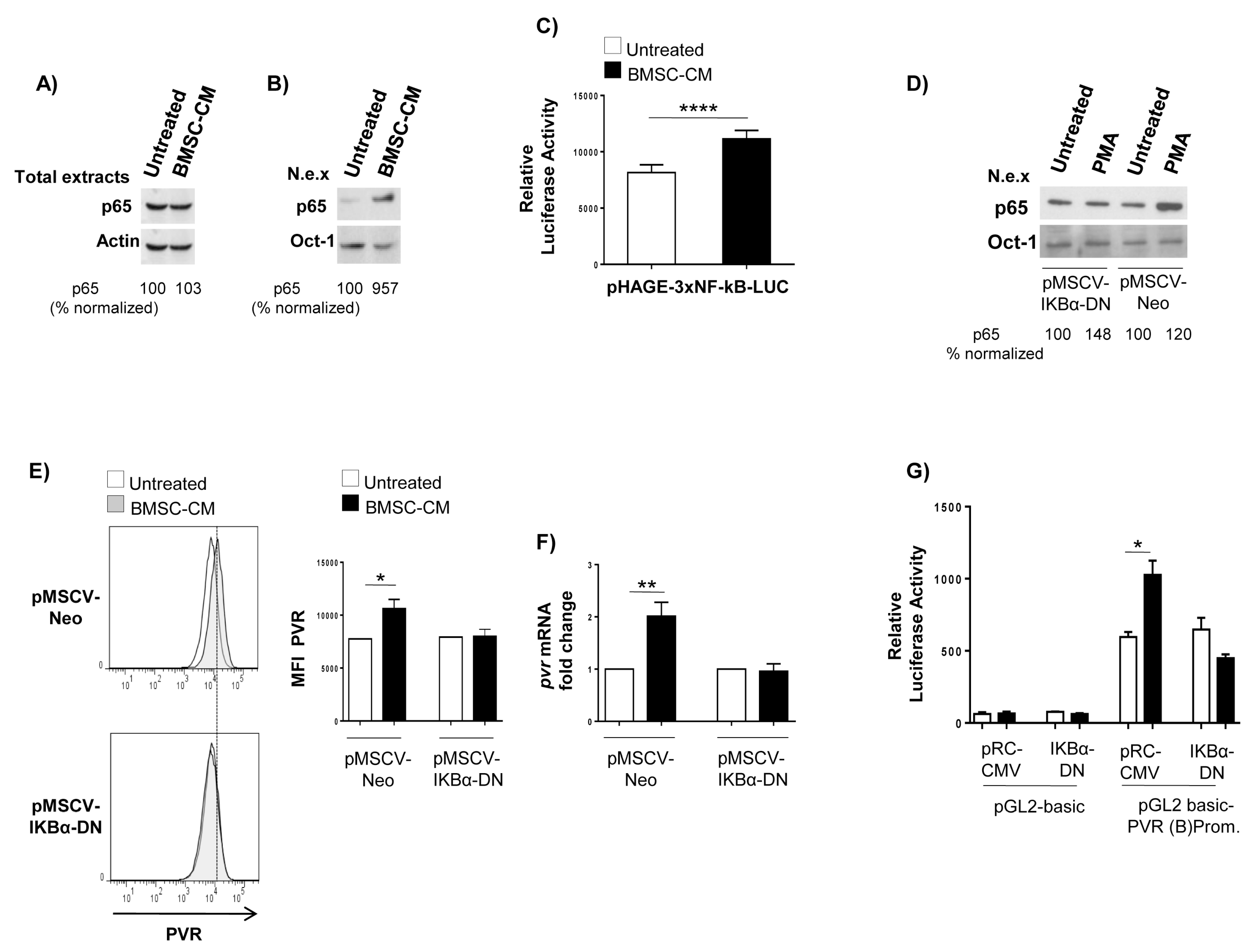 Cancers 12 00440 g005