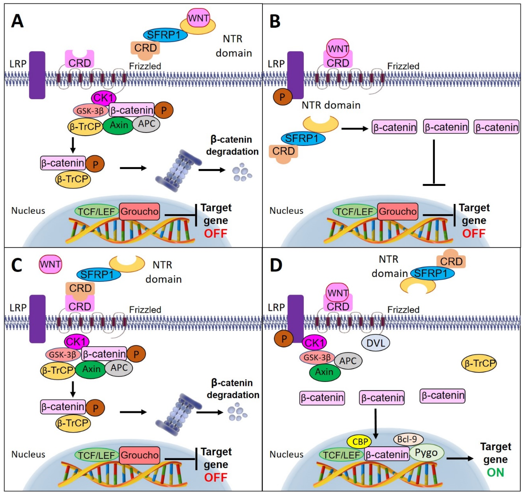 Cancers 12 00445 g003