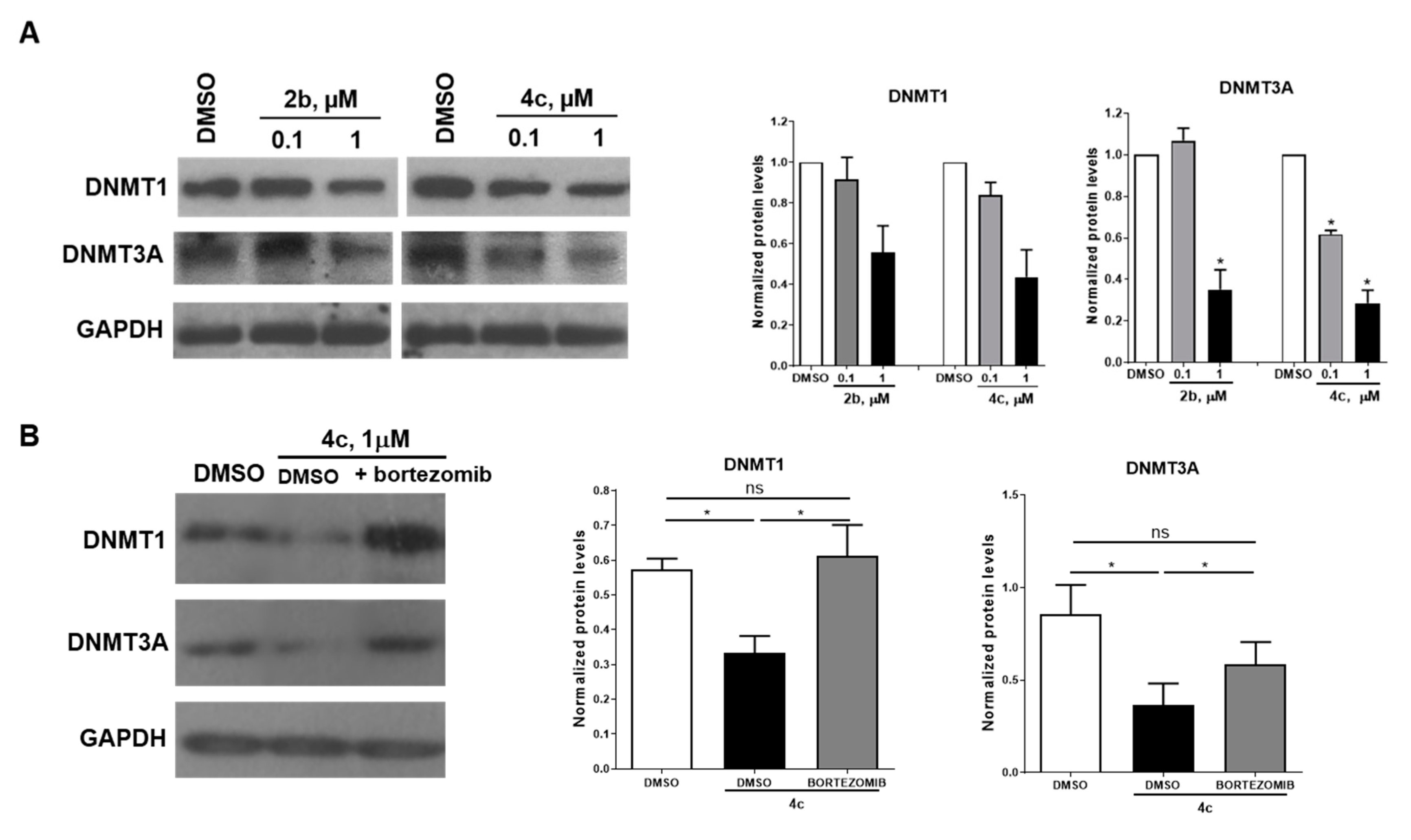 Cancers 12 00447 g008 Cancers 12 00447 g008