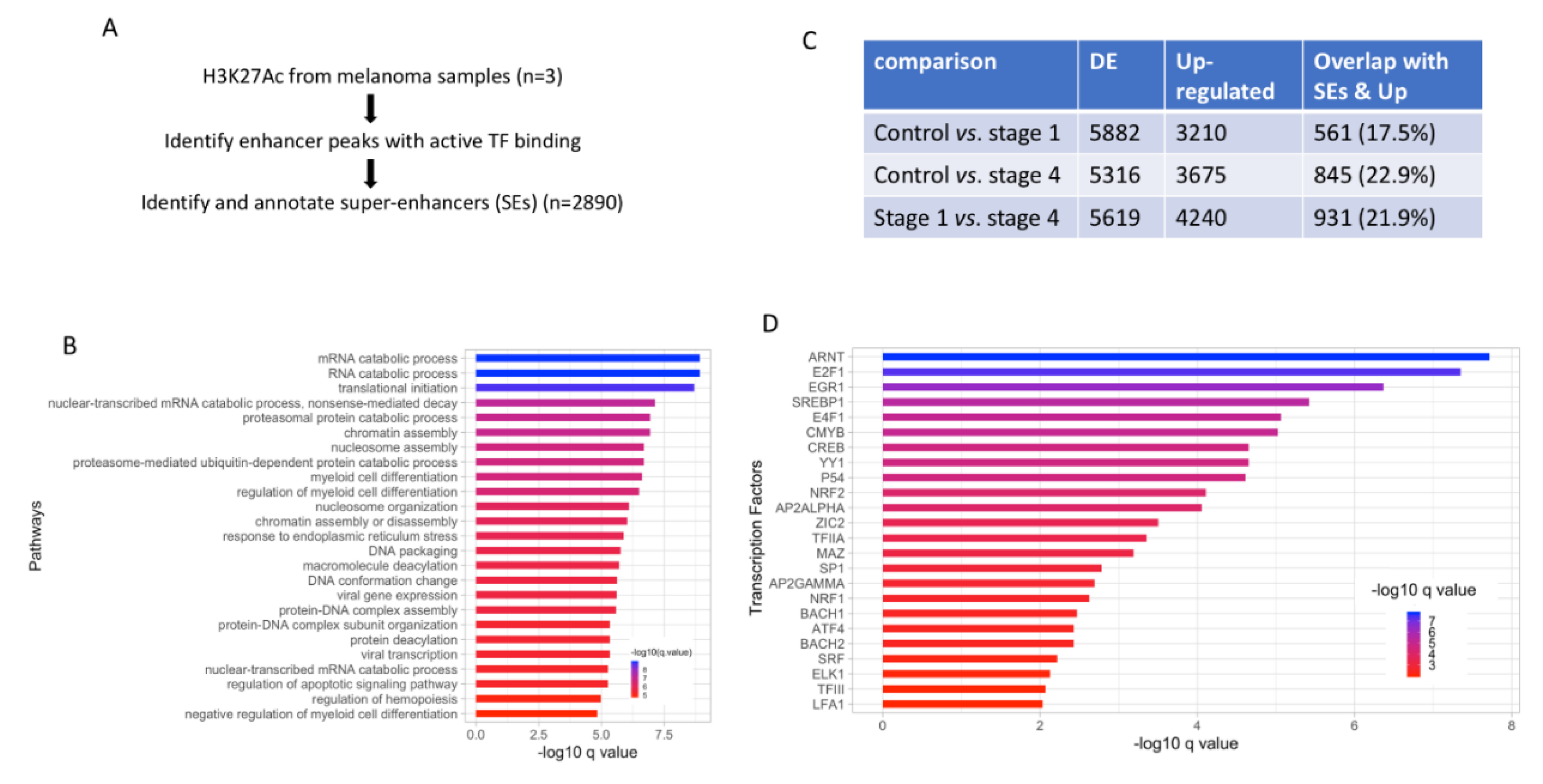 Cancers 12 00458 g002