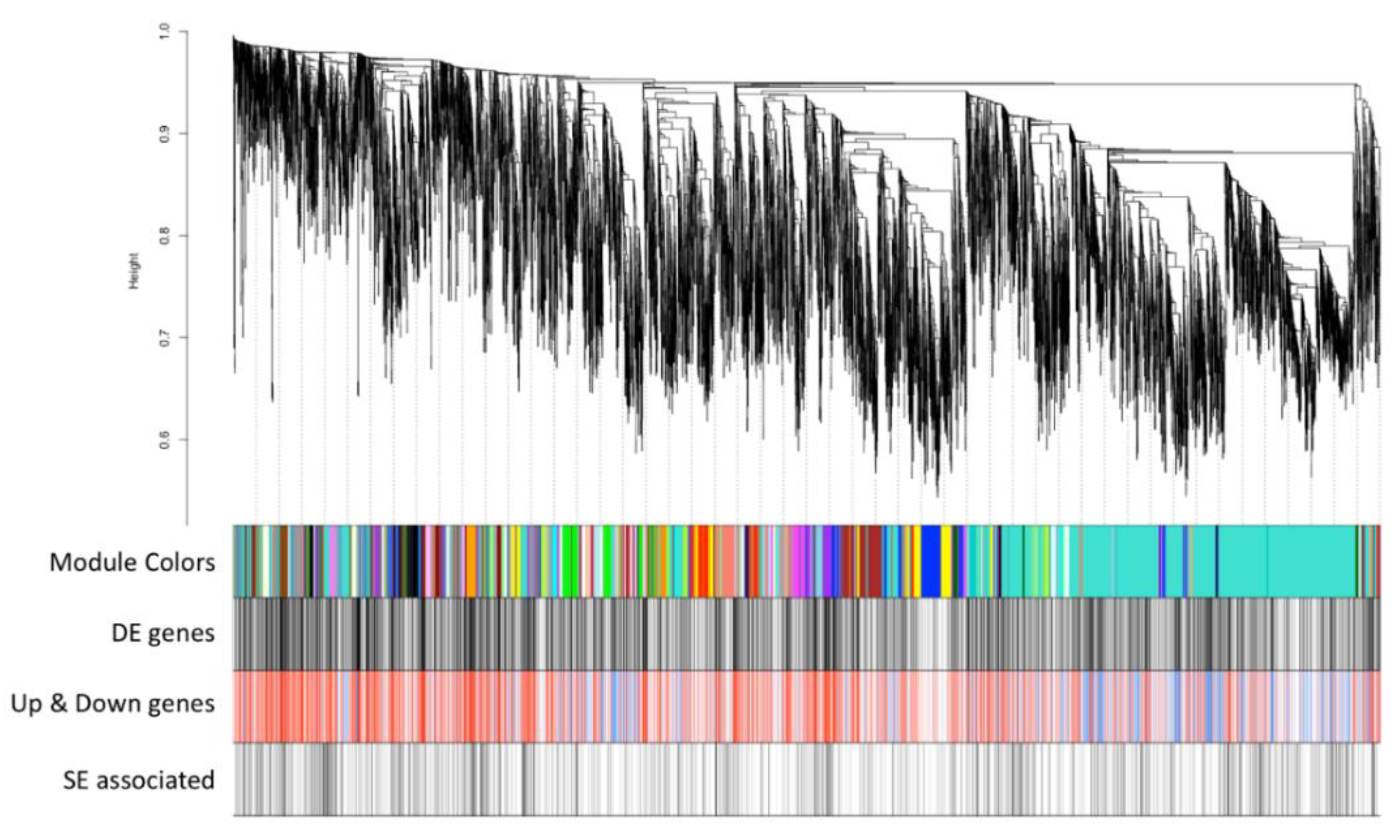 Cancers 12 00458 g003