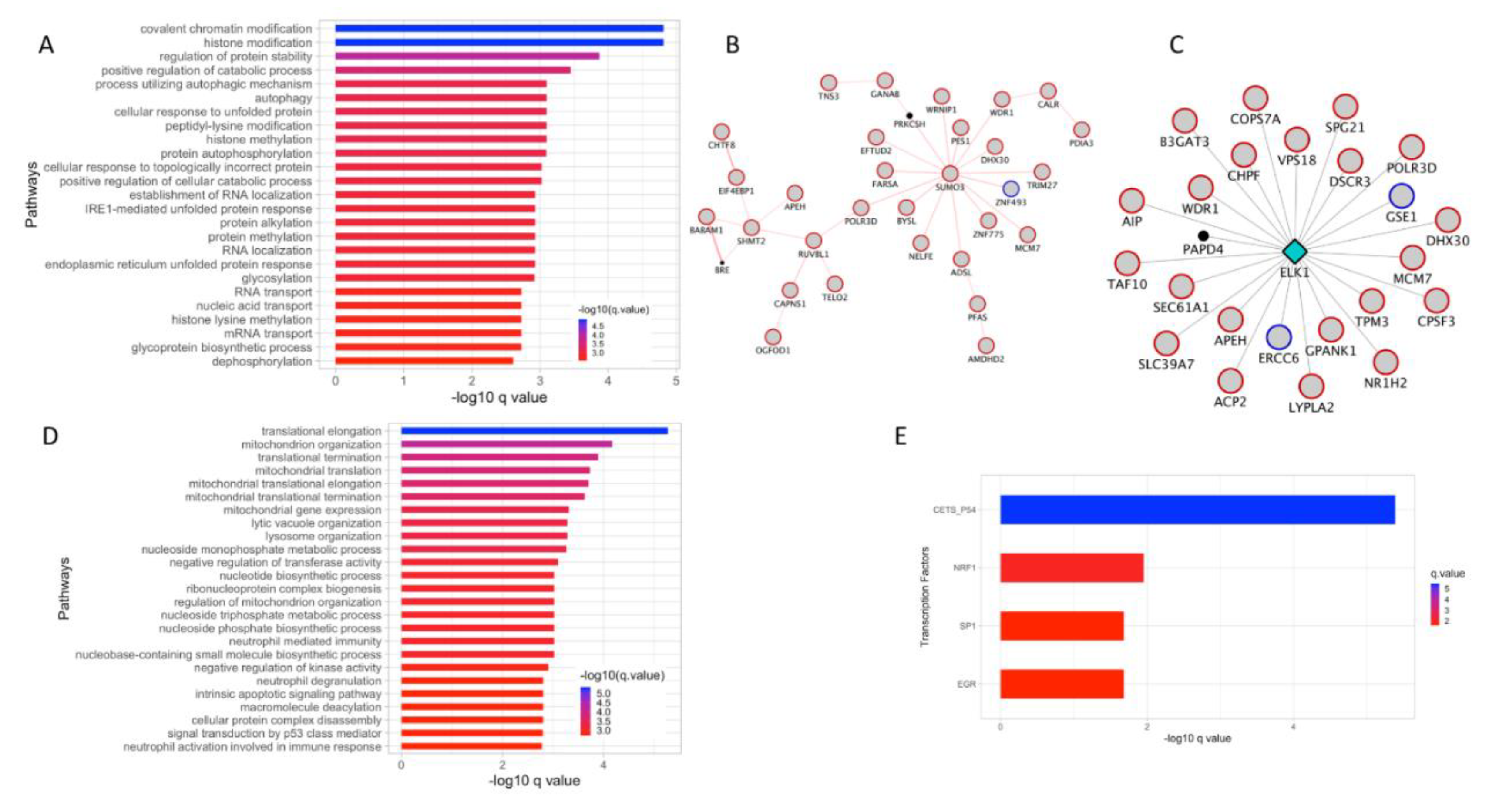 Cancers 12 00458 g004
