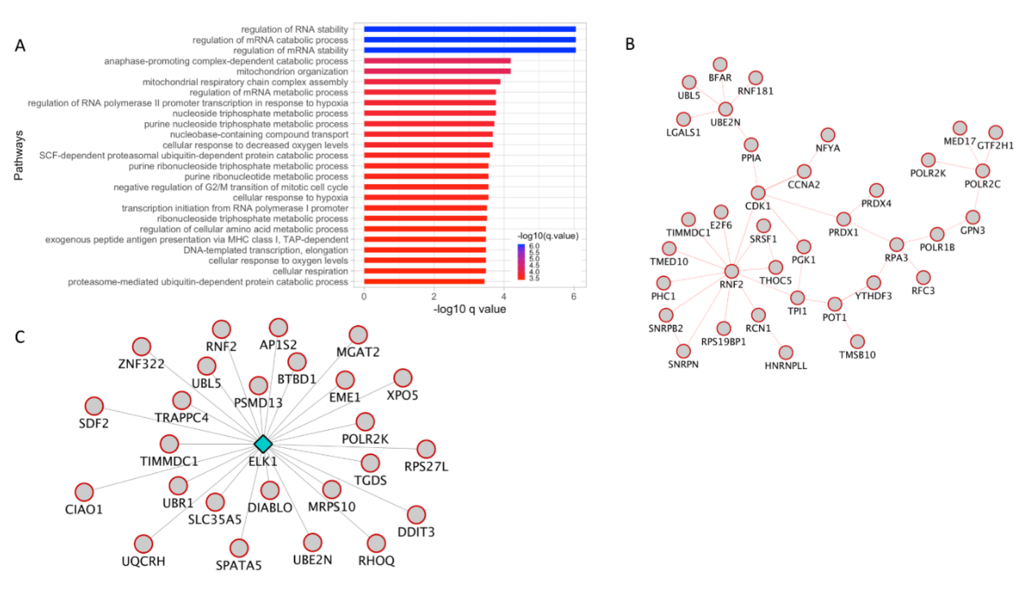 Cancers 12 00458 g005