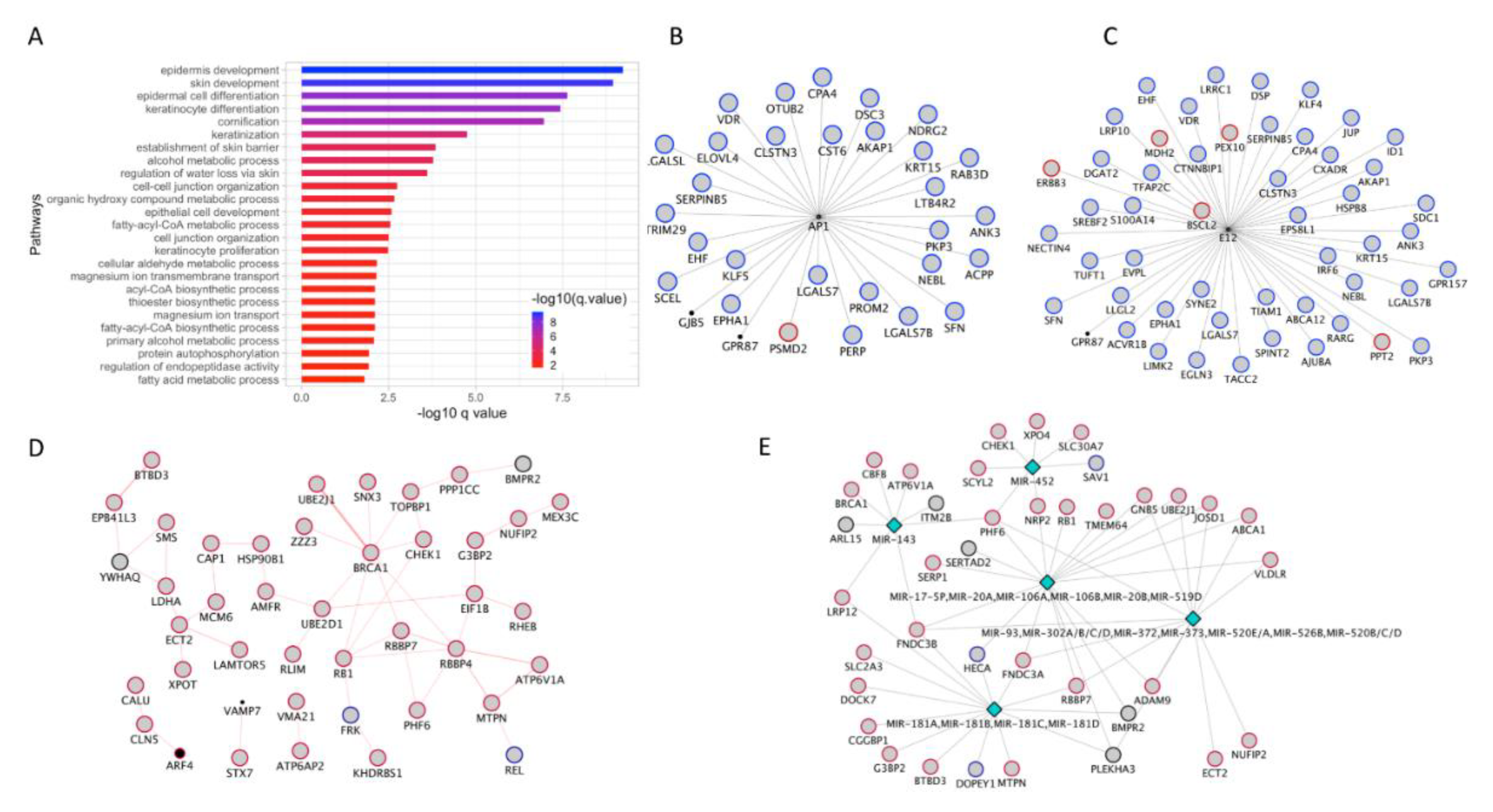 Cancers 12 00458 g006