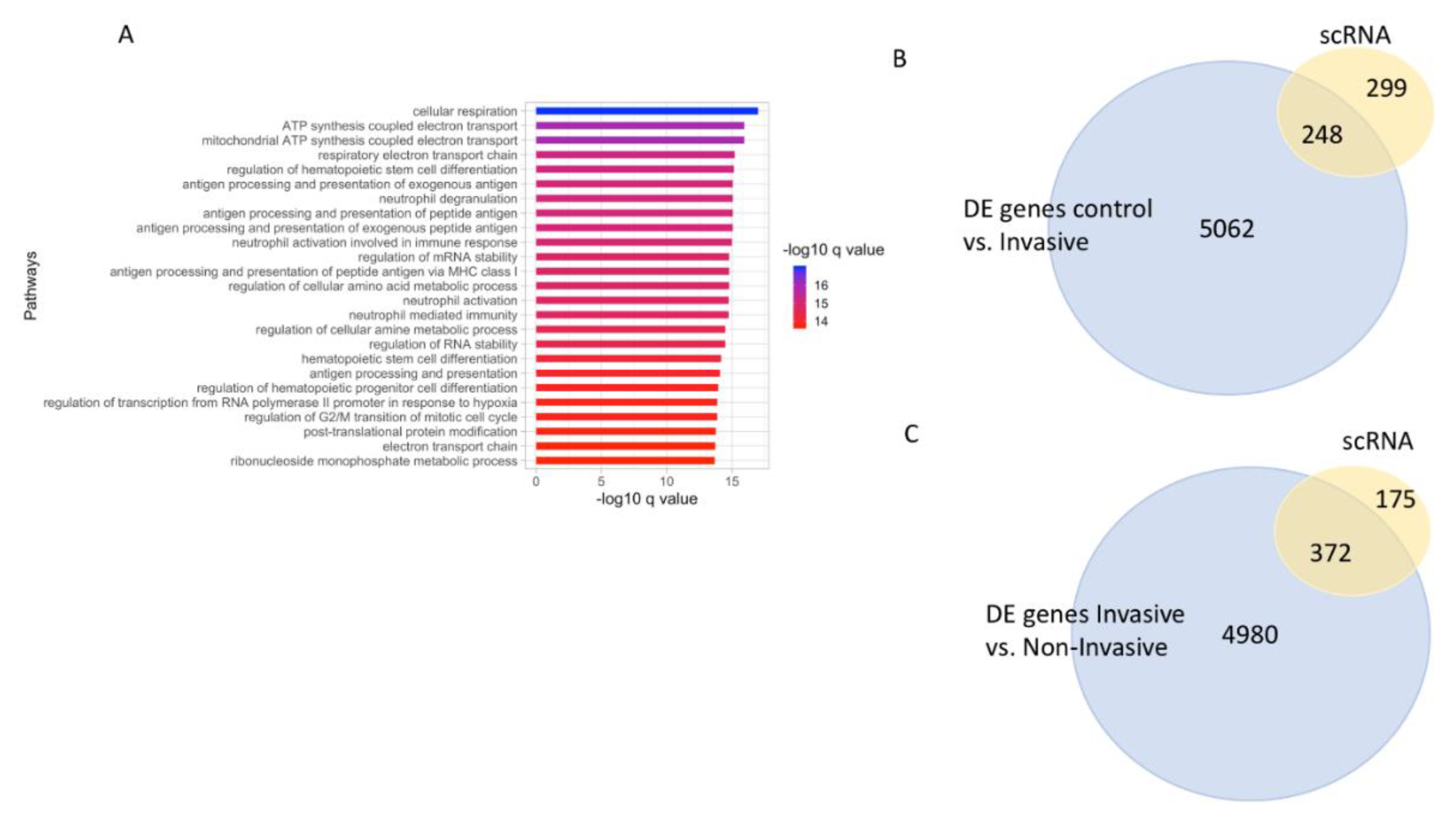 Cancers 12 00458 g007
