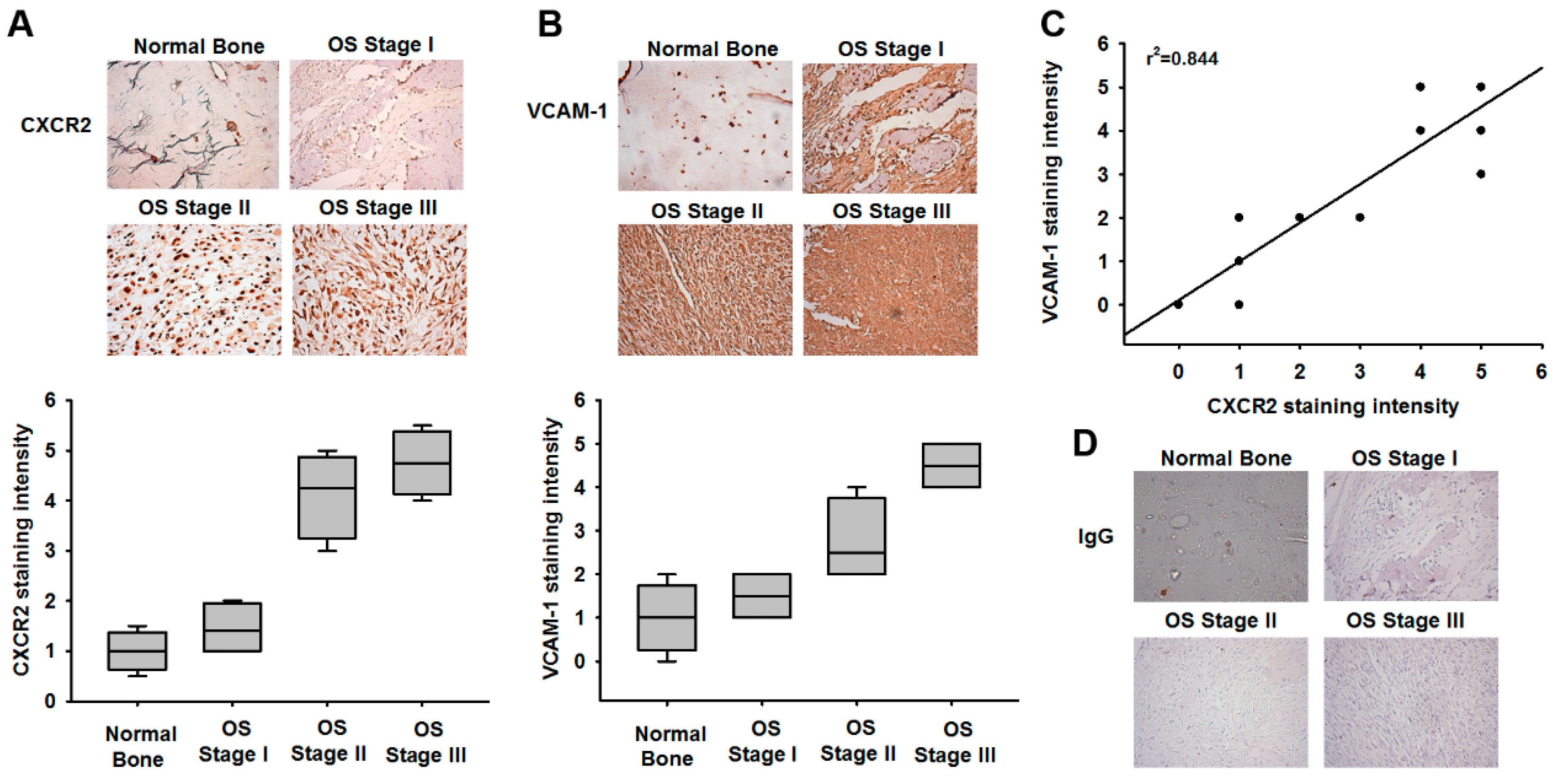 Cancers 12 00459 g002 Cancers 12 00459 g002