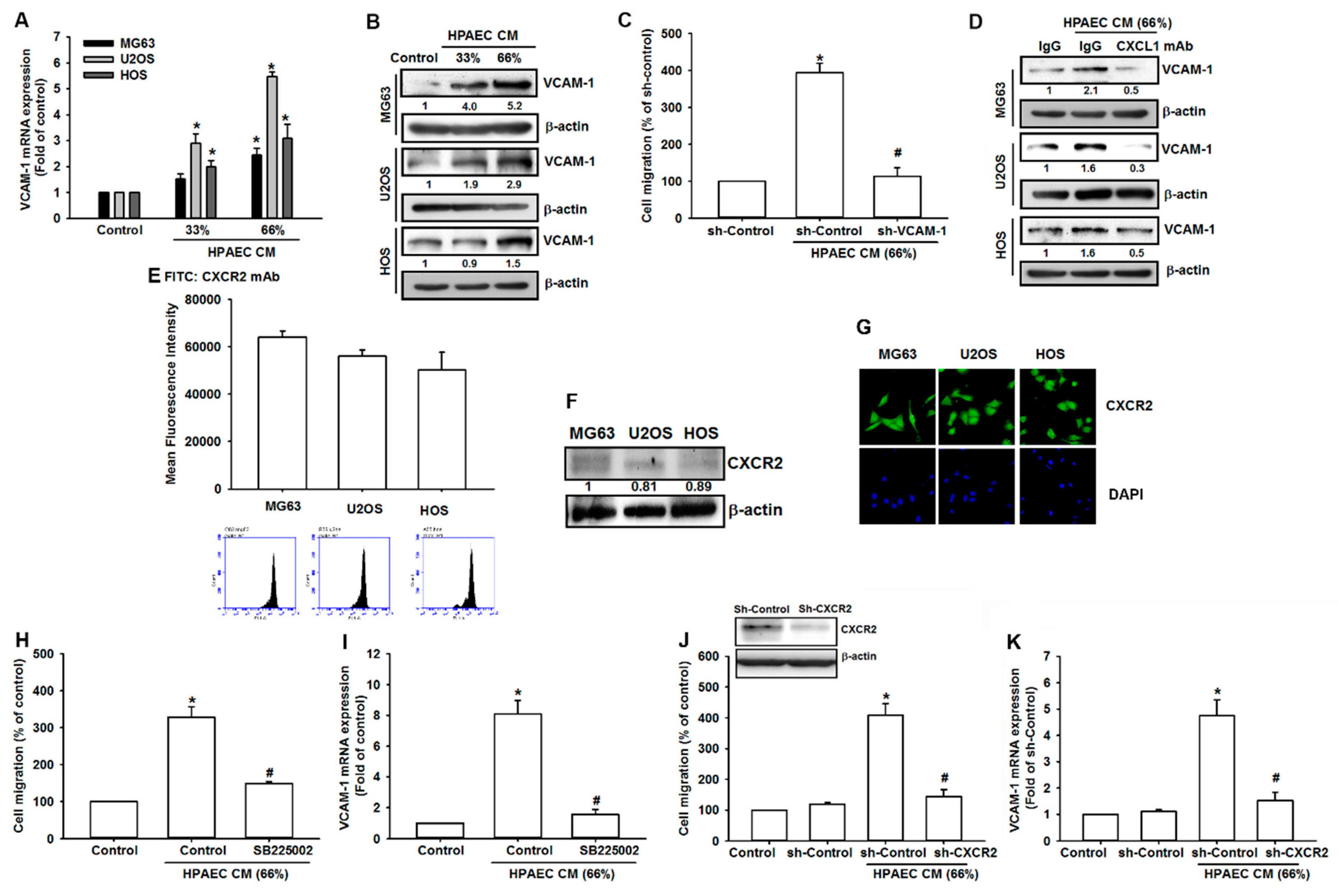 Cancers 12 00459 g004 Cancers 12 00459 g004