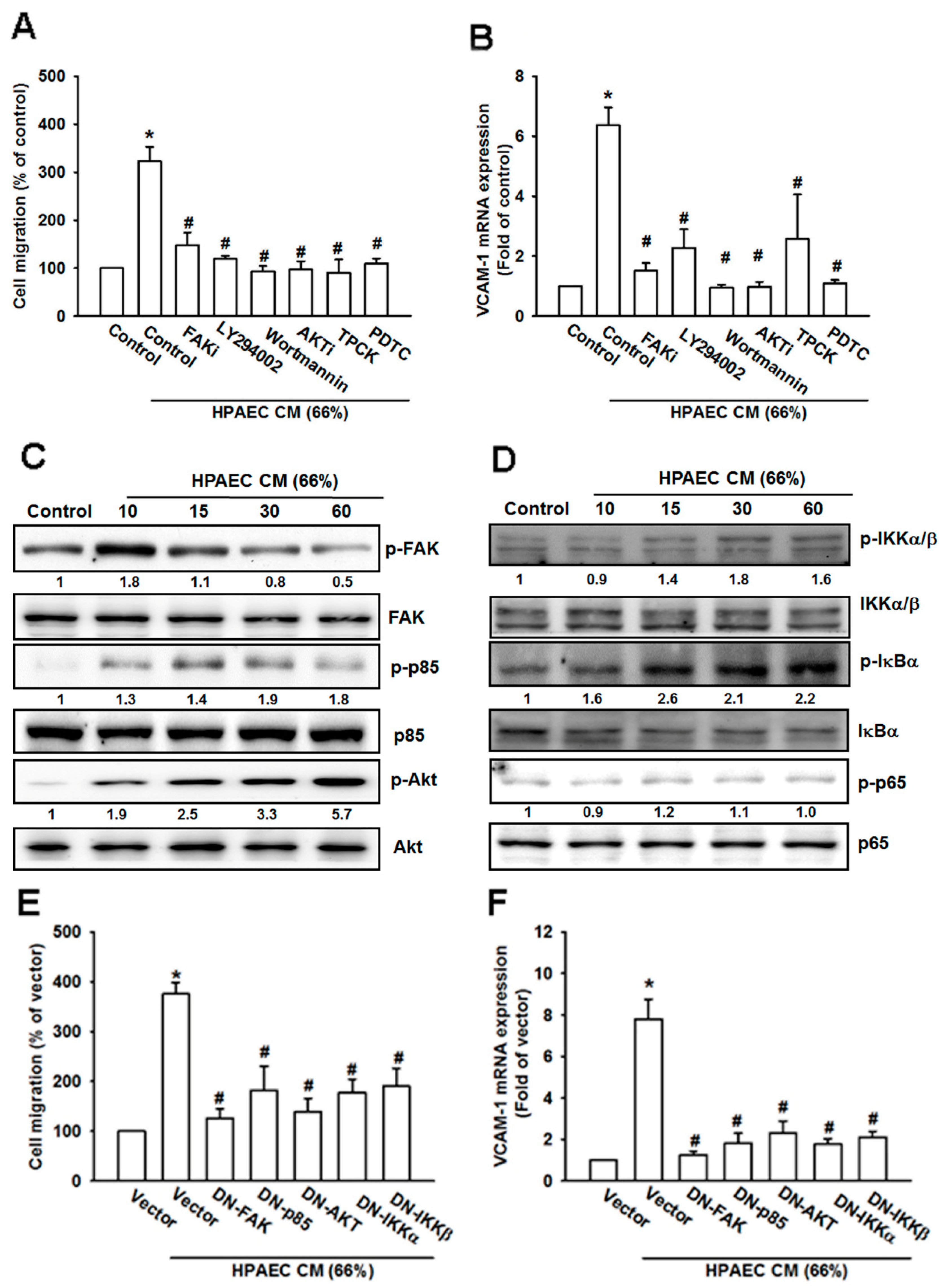 Cancers 12 00459 g005 Cancers 12 00459 g005