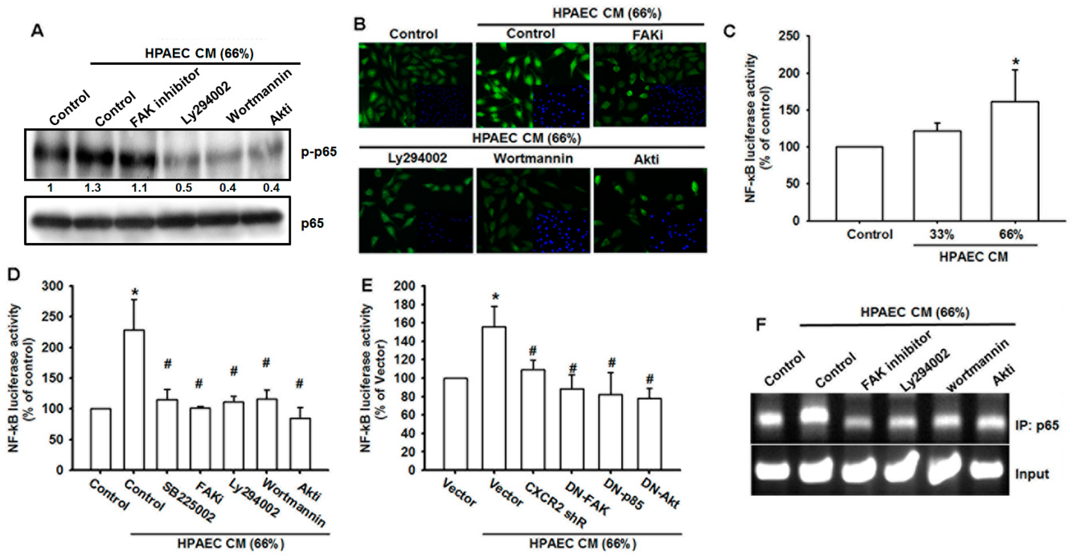 Cancers 12 00459 g006 Cancers 12 00459 g006