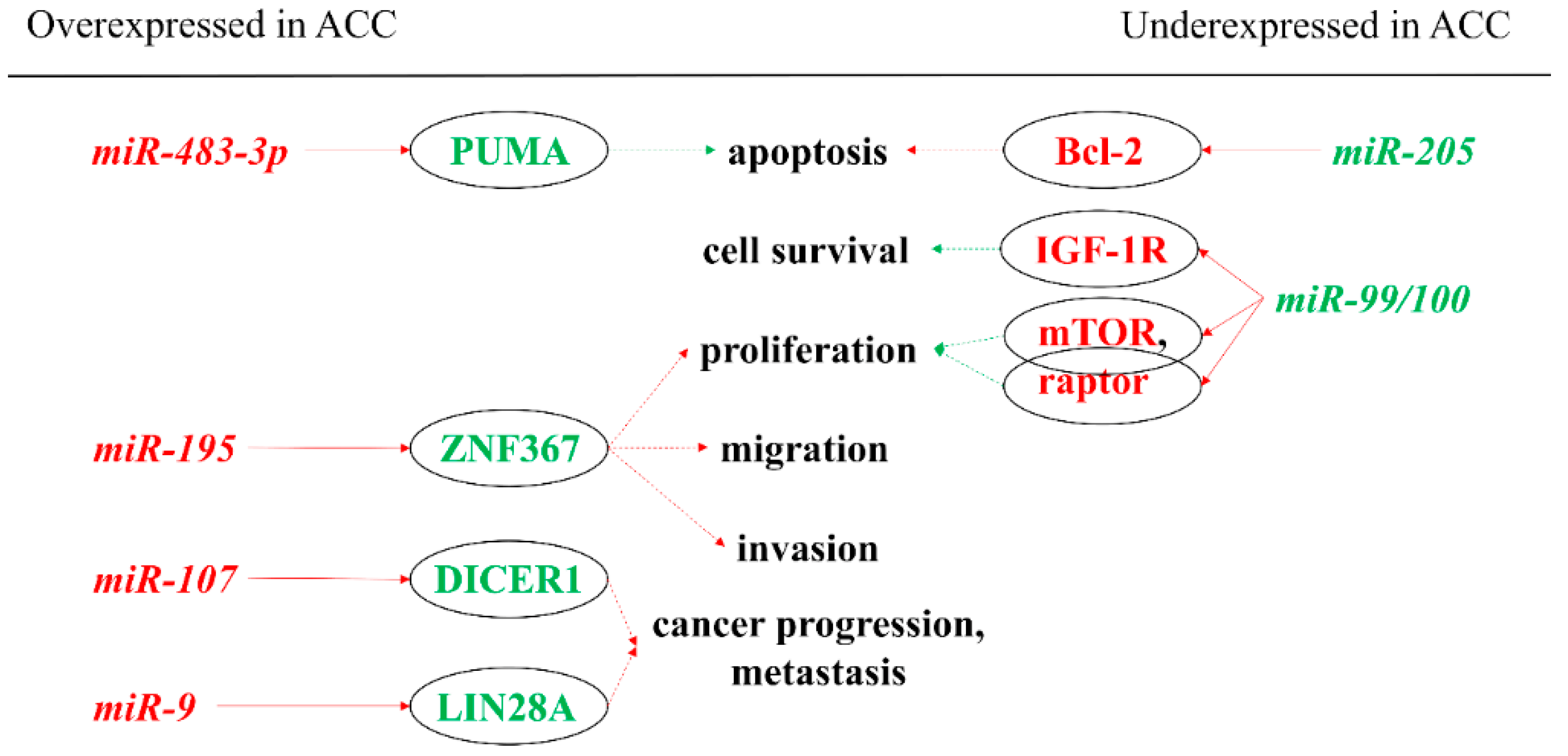 Cancers 12 00461 g001