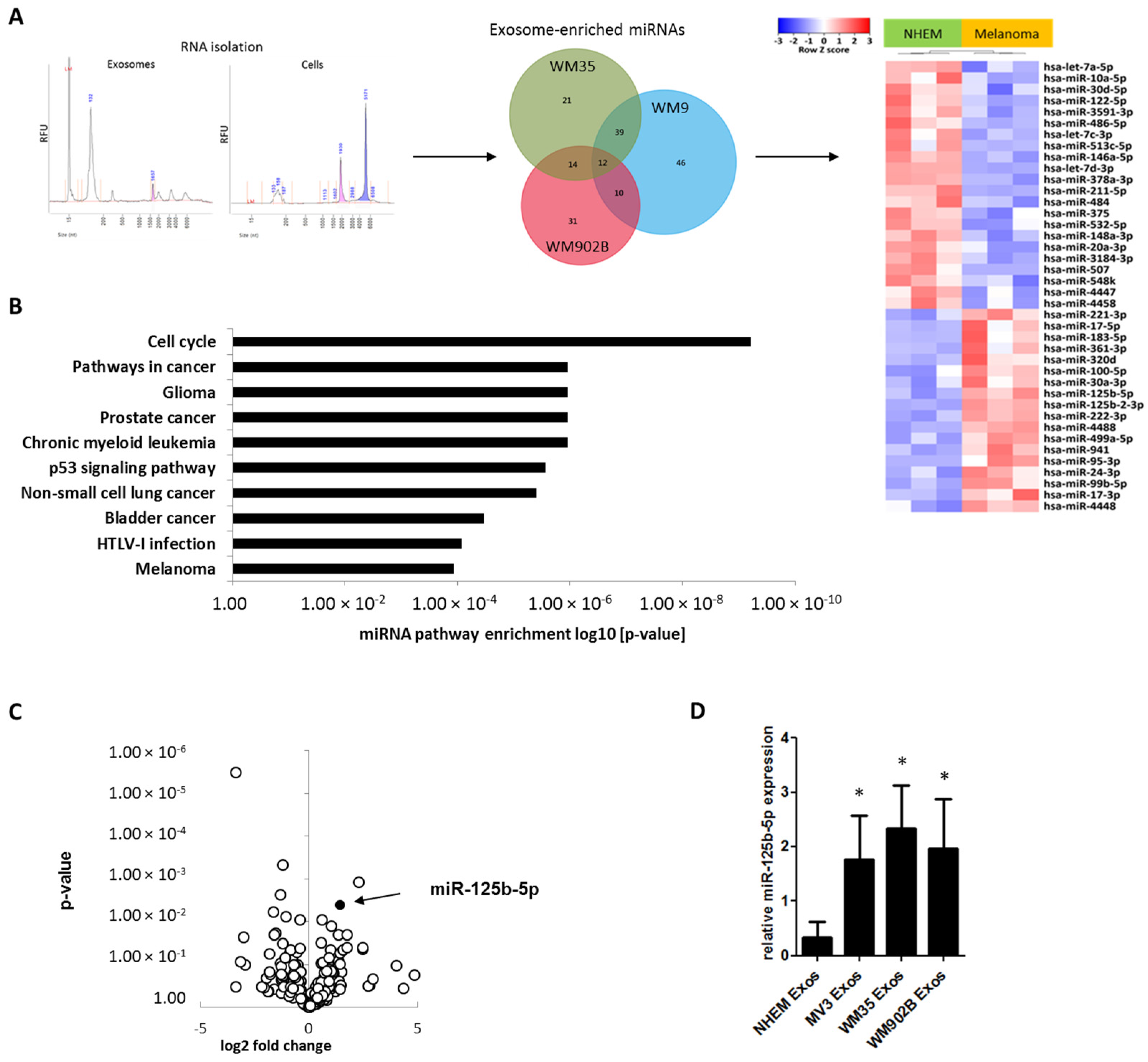 Cancers 12 00464 g003